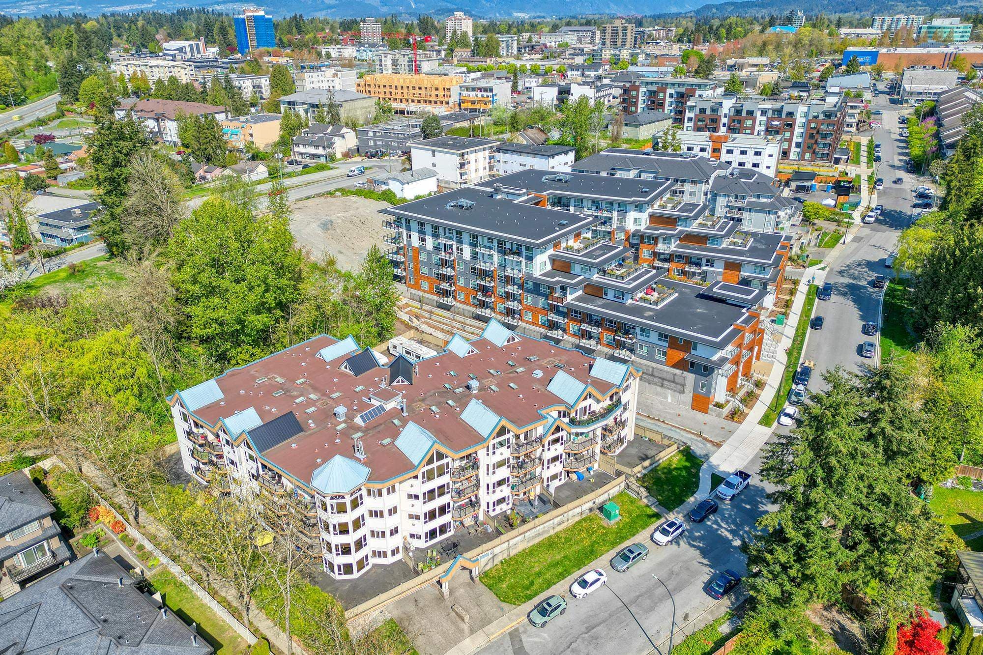 204 - 11595 Fraser Street, Maple Ridge, V2X 0X7 — photo 4