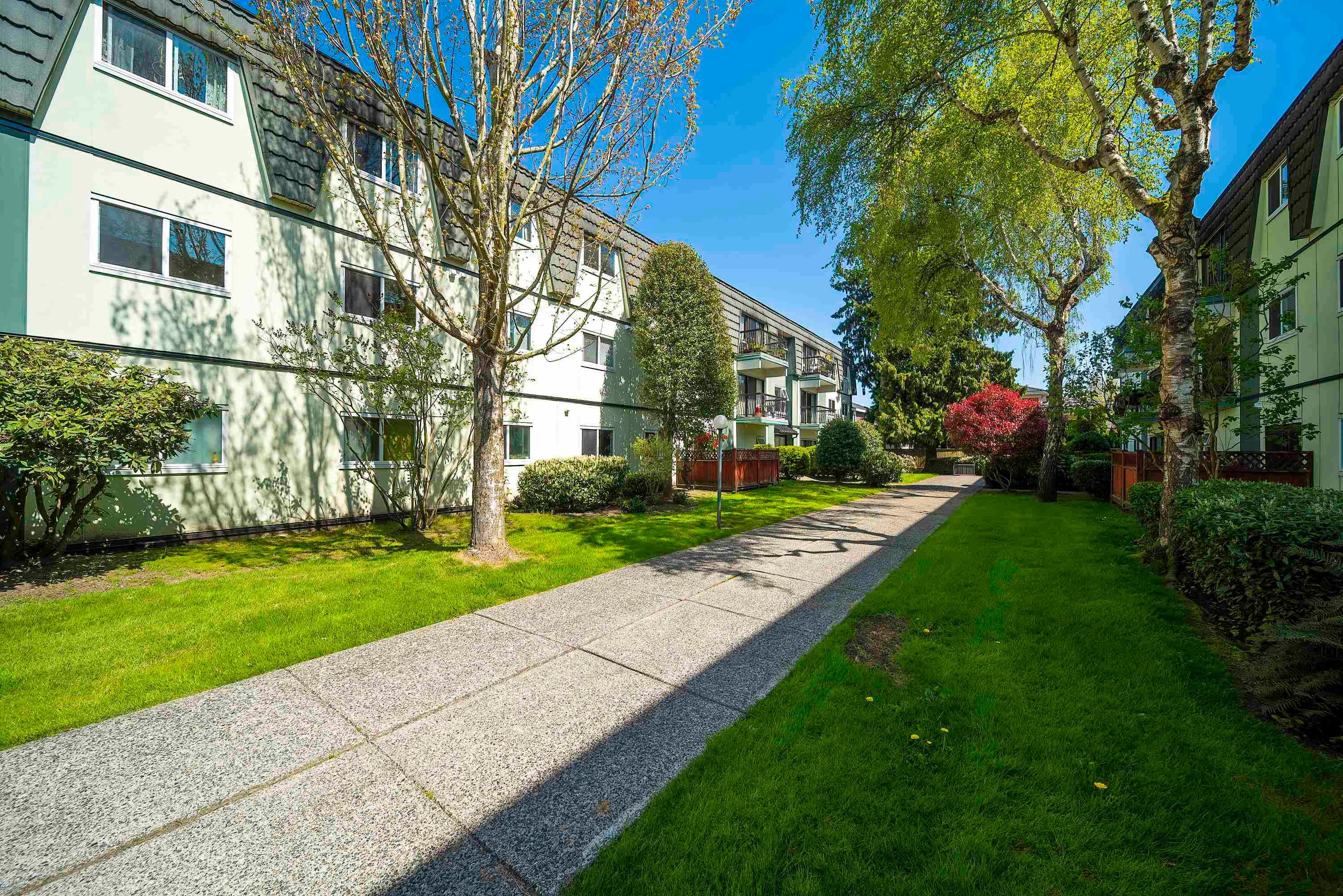 257 - 8131 Ryan Road, Richmond