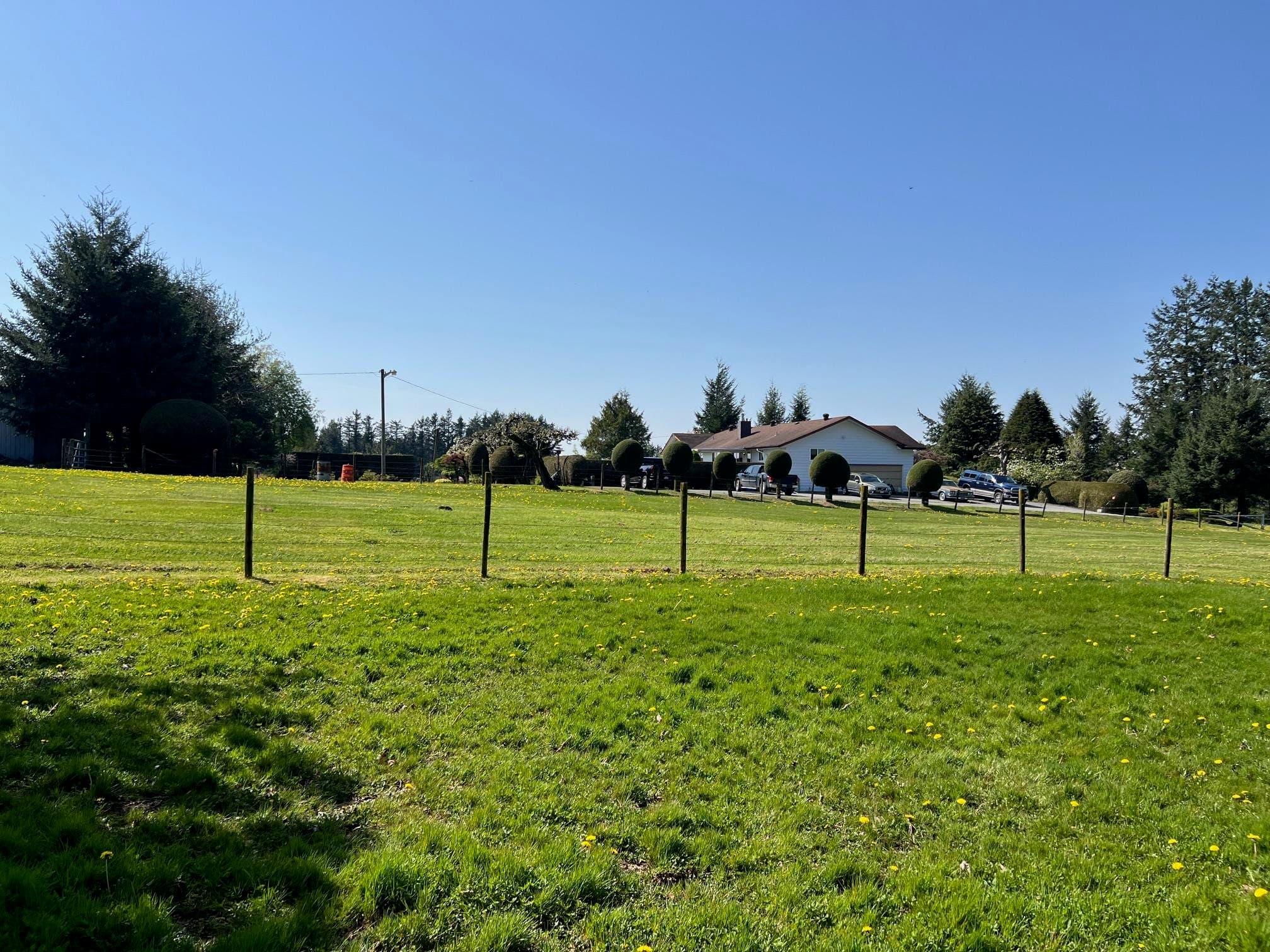 29224 Downes Road, Abbotsford, V4X 1S4 — photo 2