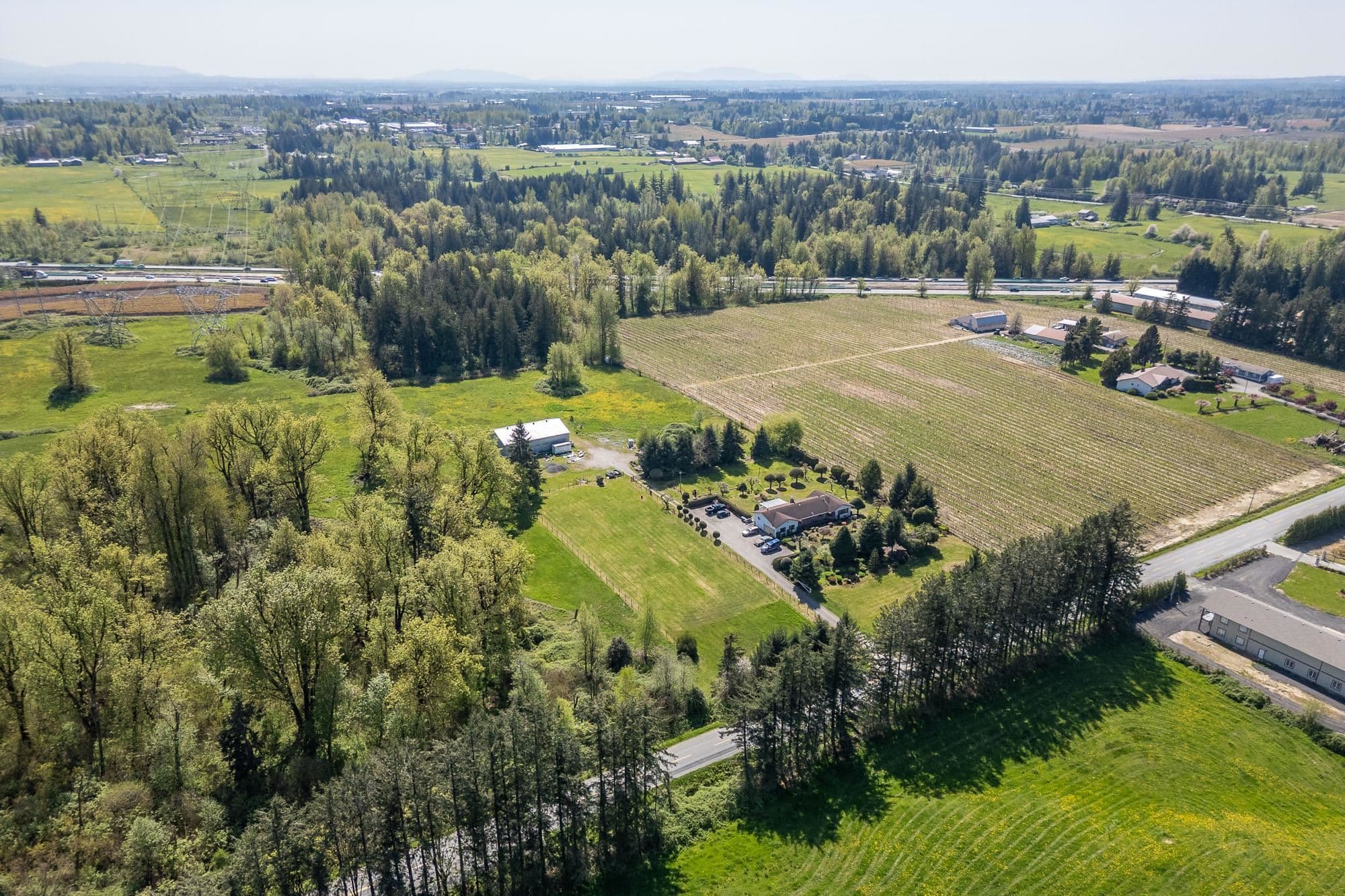 29224 Downes Road, Abbotsford, V4X 1S4 — photo 5