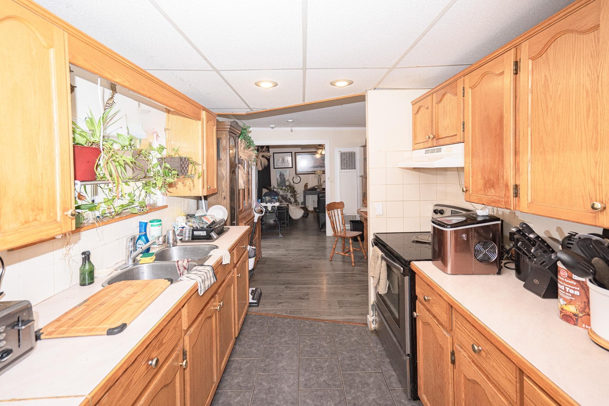 11618 203 Street, Maple Ridge, V2X 4T9 — photo 4