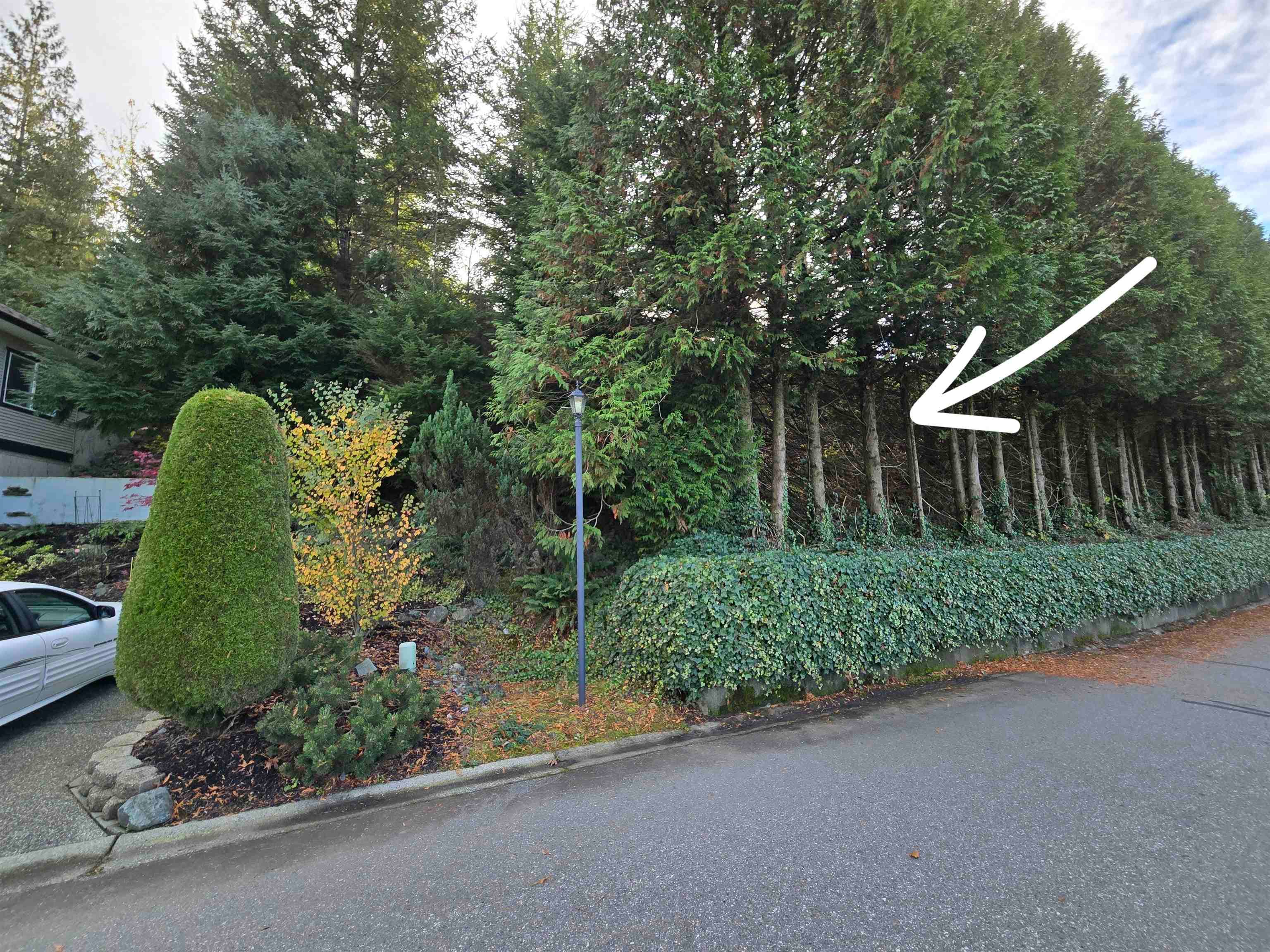 1 - 47470 Chartwell Drive, Chilliwack, V2P 8A2 — photo 4