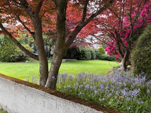 203 - 4691 W 10th Avenue, Vancouver, V6R 2J3 — photo 2