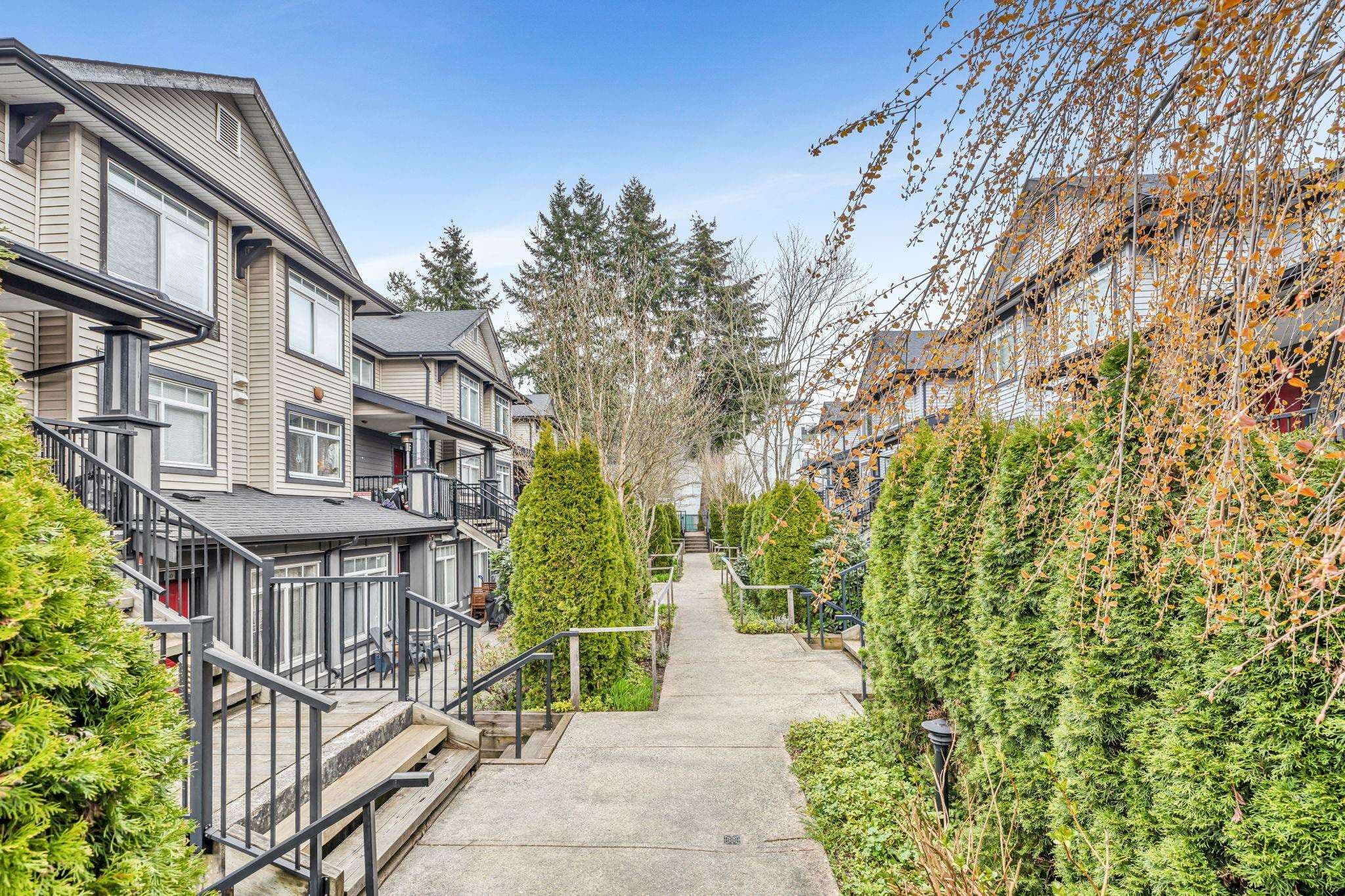 53 - 7428 14th Avenue, Burnaby, V3N 0C2 — photo 4