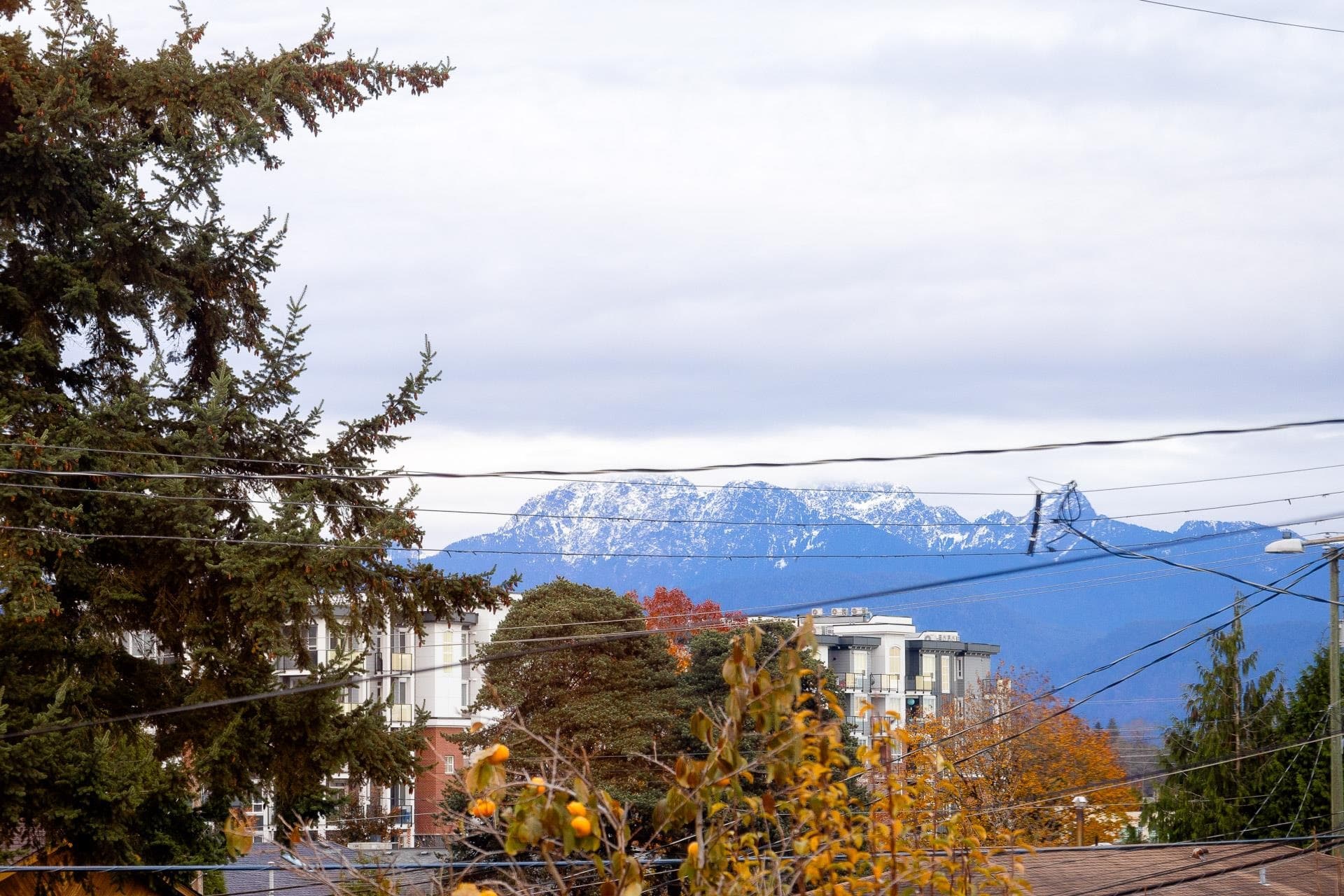2230 Hawthorne Avenue, Port Coquitlam, V3C 1W6 — photo 5