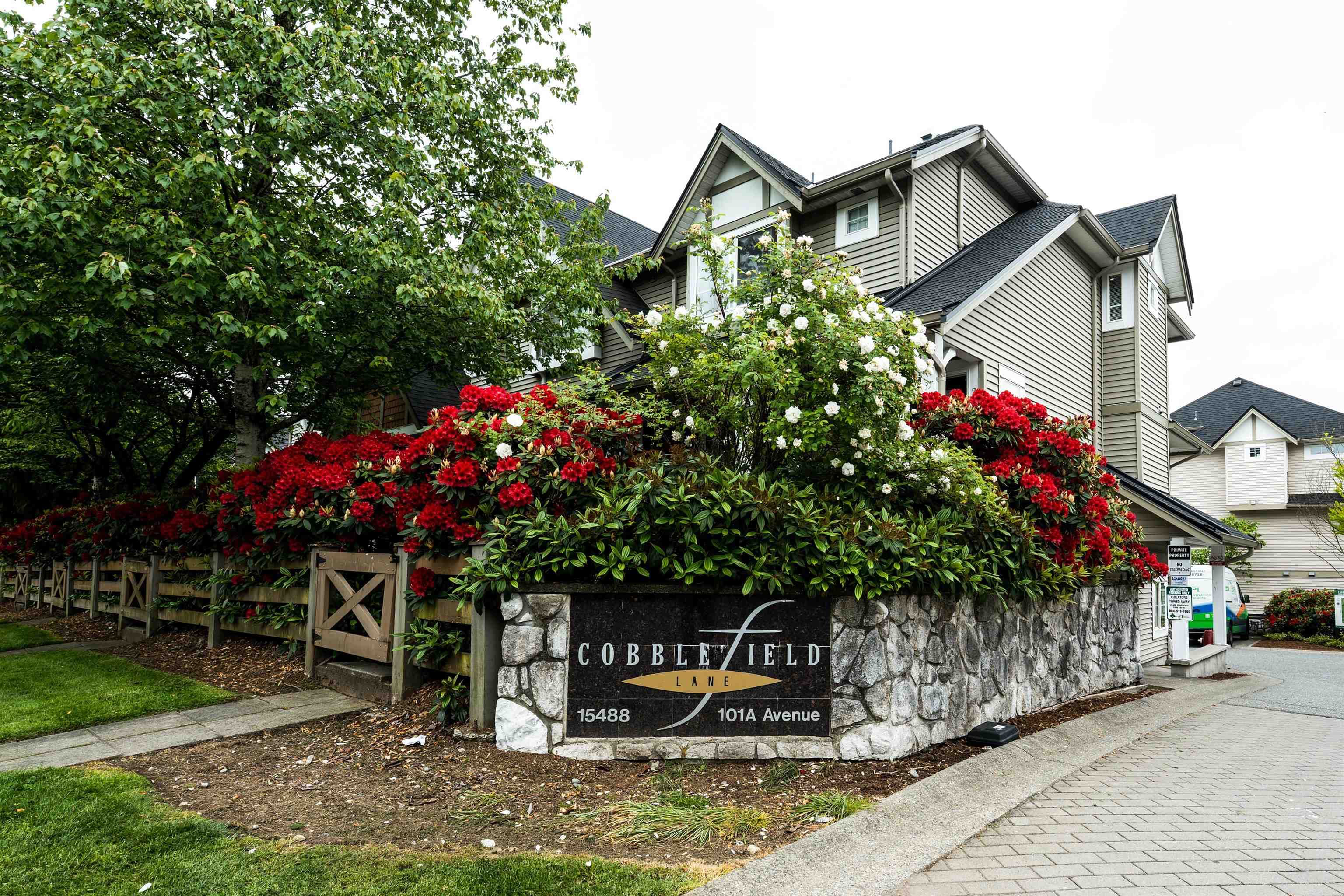 34 - 15488 101a Avenue, Surrey, V3R 0Z8 — photo 3