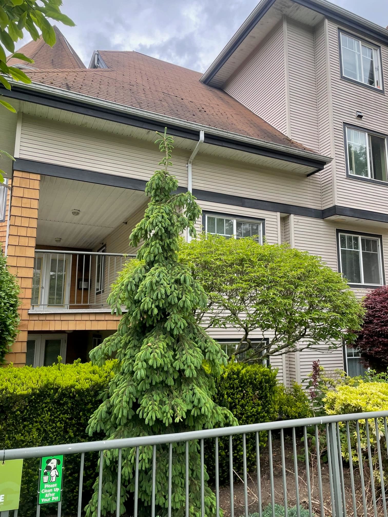 311 - 12207 224 Street, Maple Ridge, V2X 6B9 — photo 3