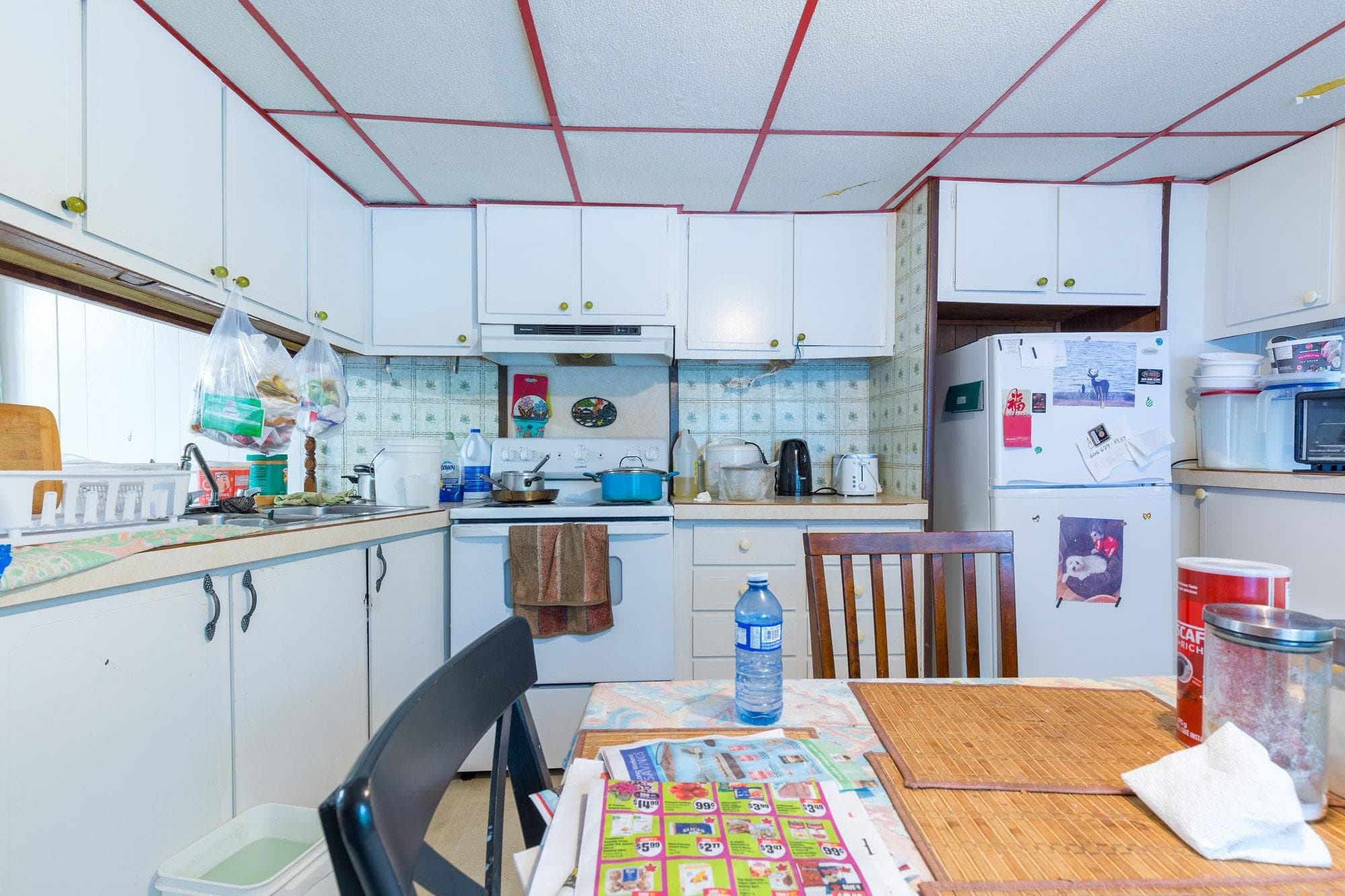 31 - 8266 King George Boulevard, Surrey, V3W 5C2 — photo 4
