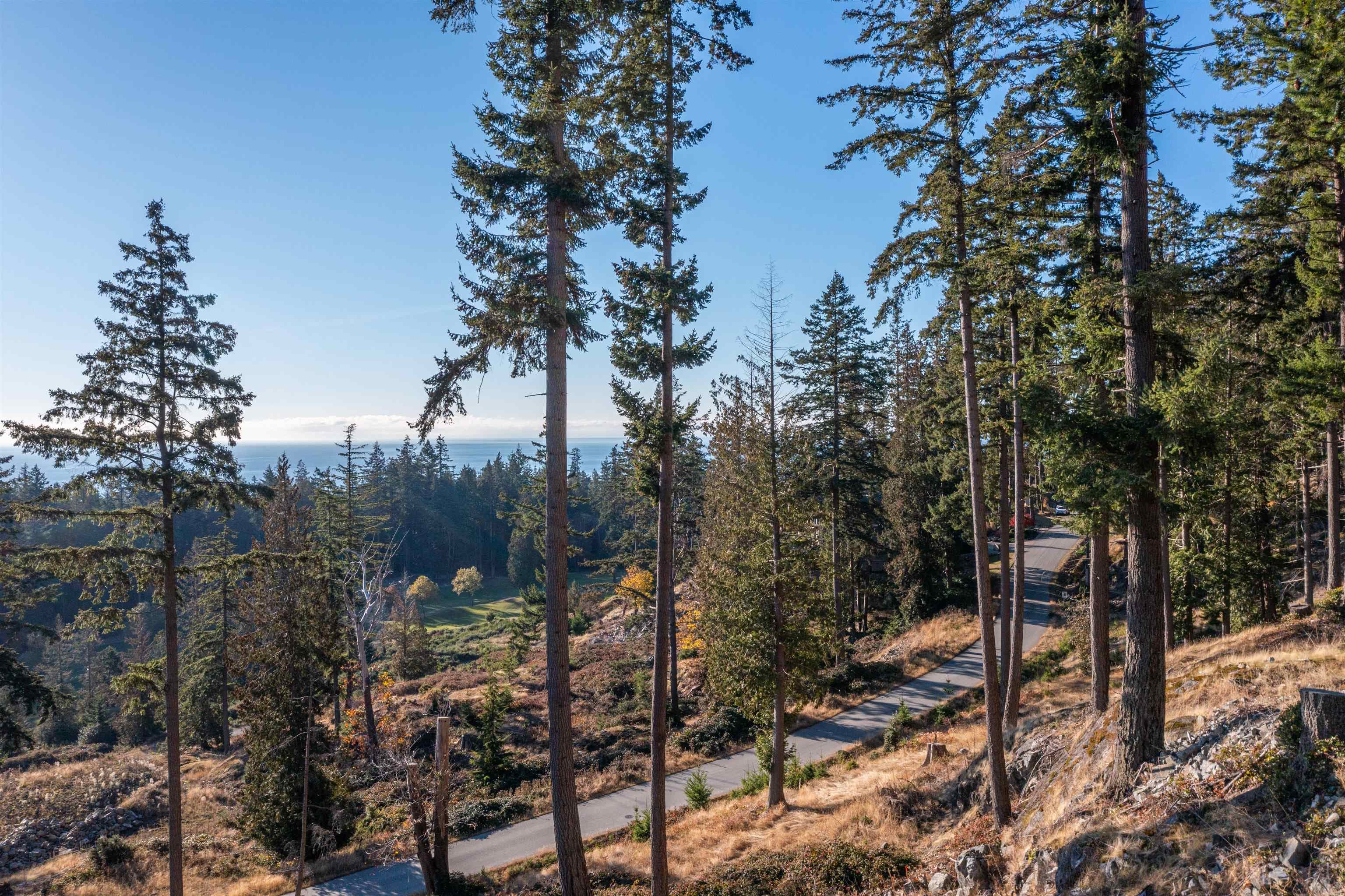 814 Mcintosh Lane, Bowen Island, V0N 1G2 — photo 4