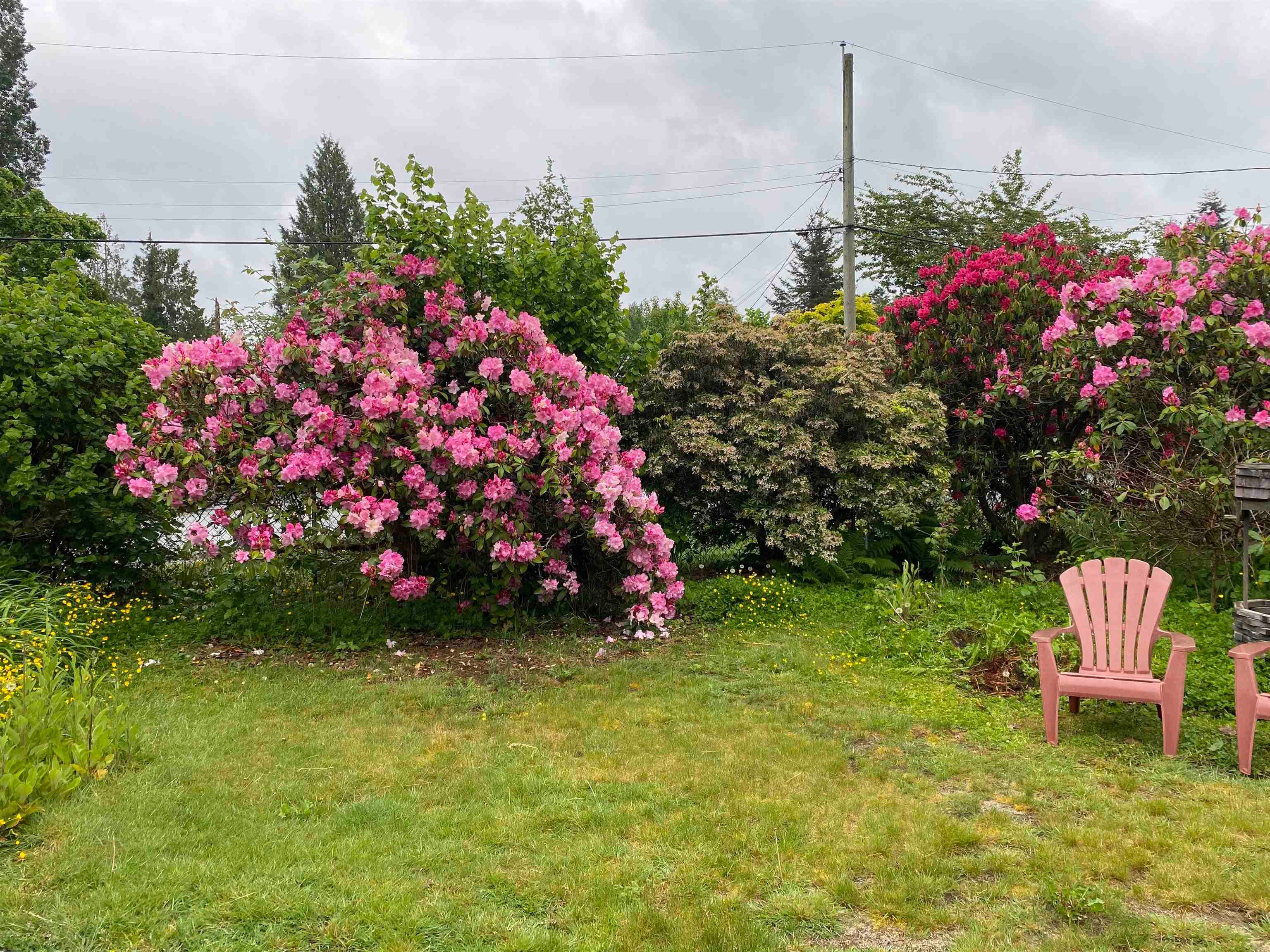 12213 218 Street, Maple Ridge, V2X 5M4 — photo 2