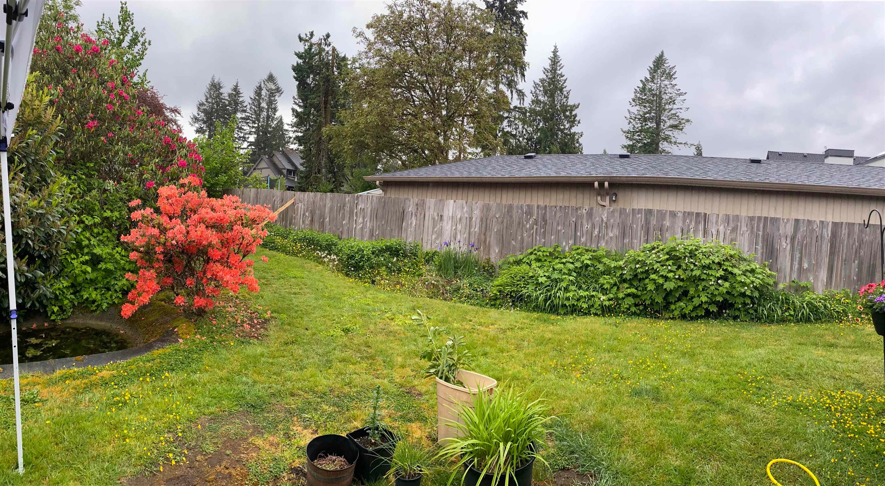 12213 218 Street, Maple Ridge, V2X 5M4 — photo 3