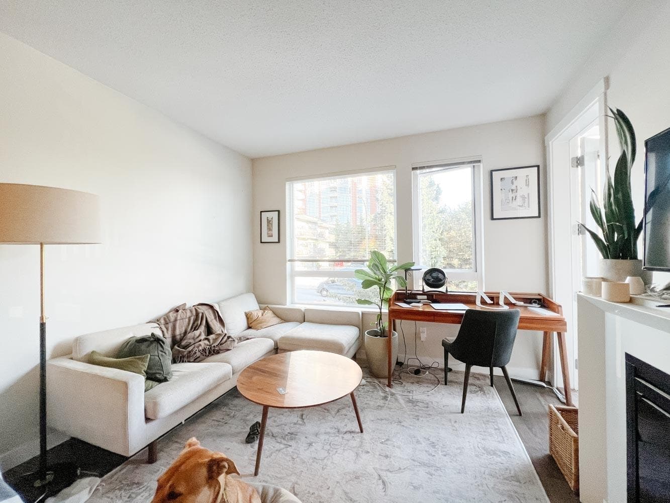 207 - 717 Chesterfield Avenue, North Vancouver, V7M 2M6 — photo 2