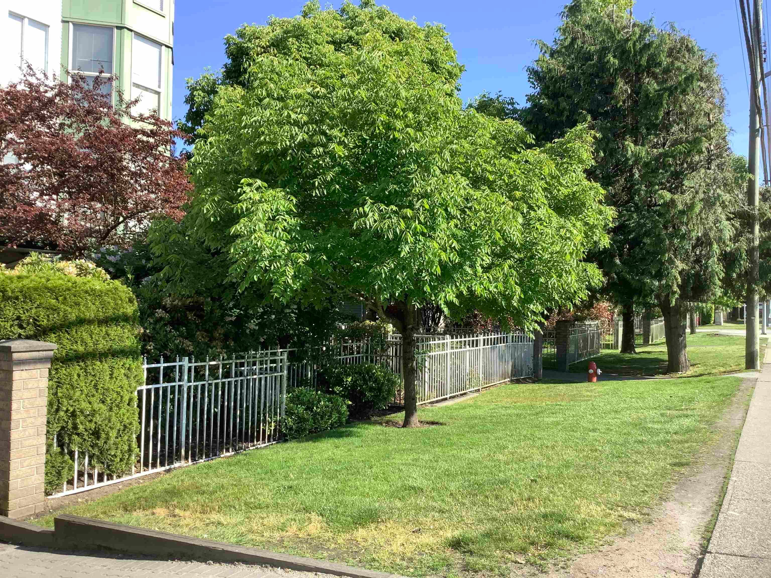 206 - 10128 132 Street, Surrey, V3T 3T5 — photo 2