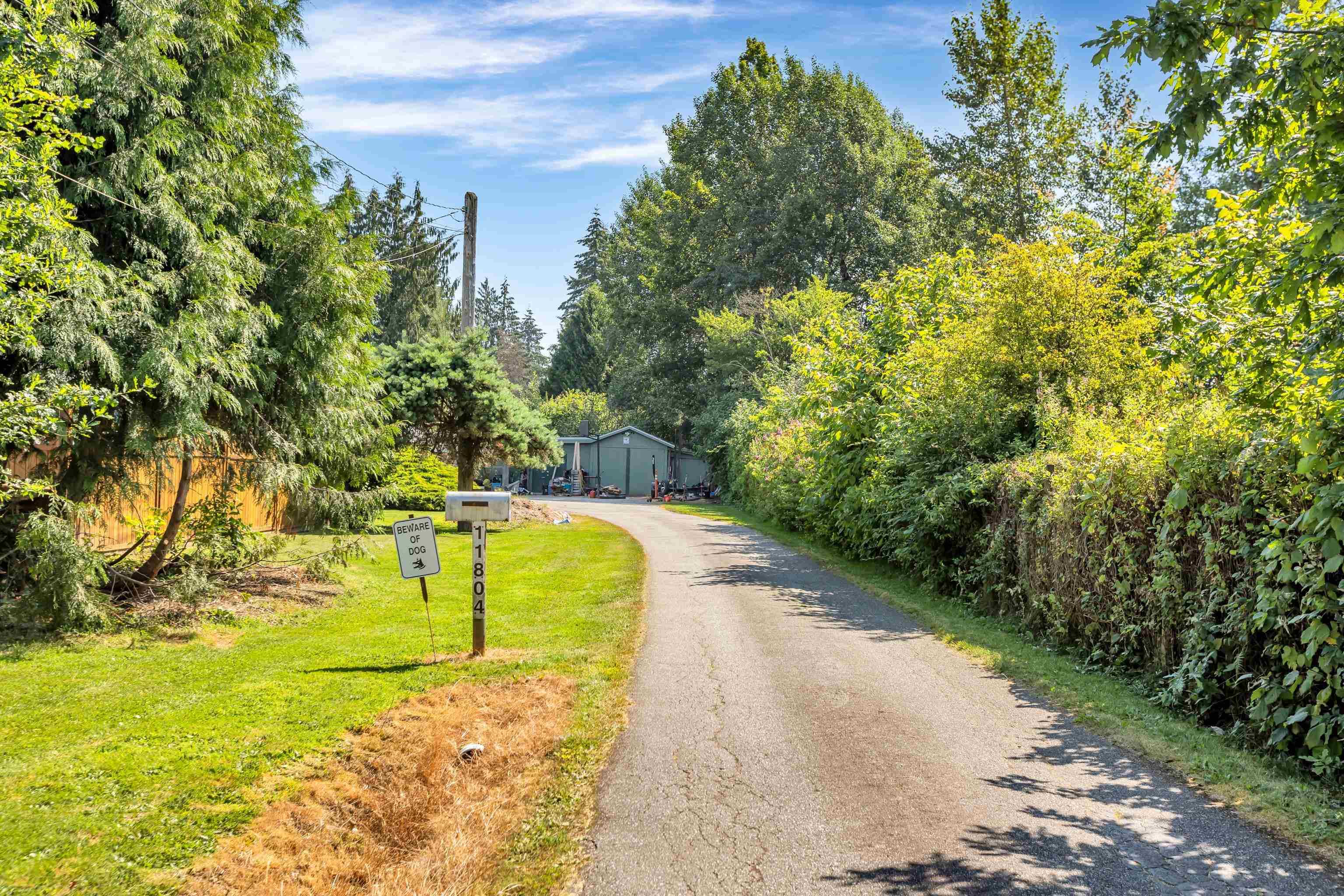 11804 232 Street, Maple Ridge, V2X 6S9 — photo 3