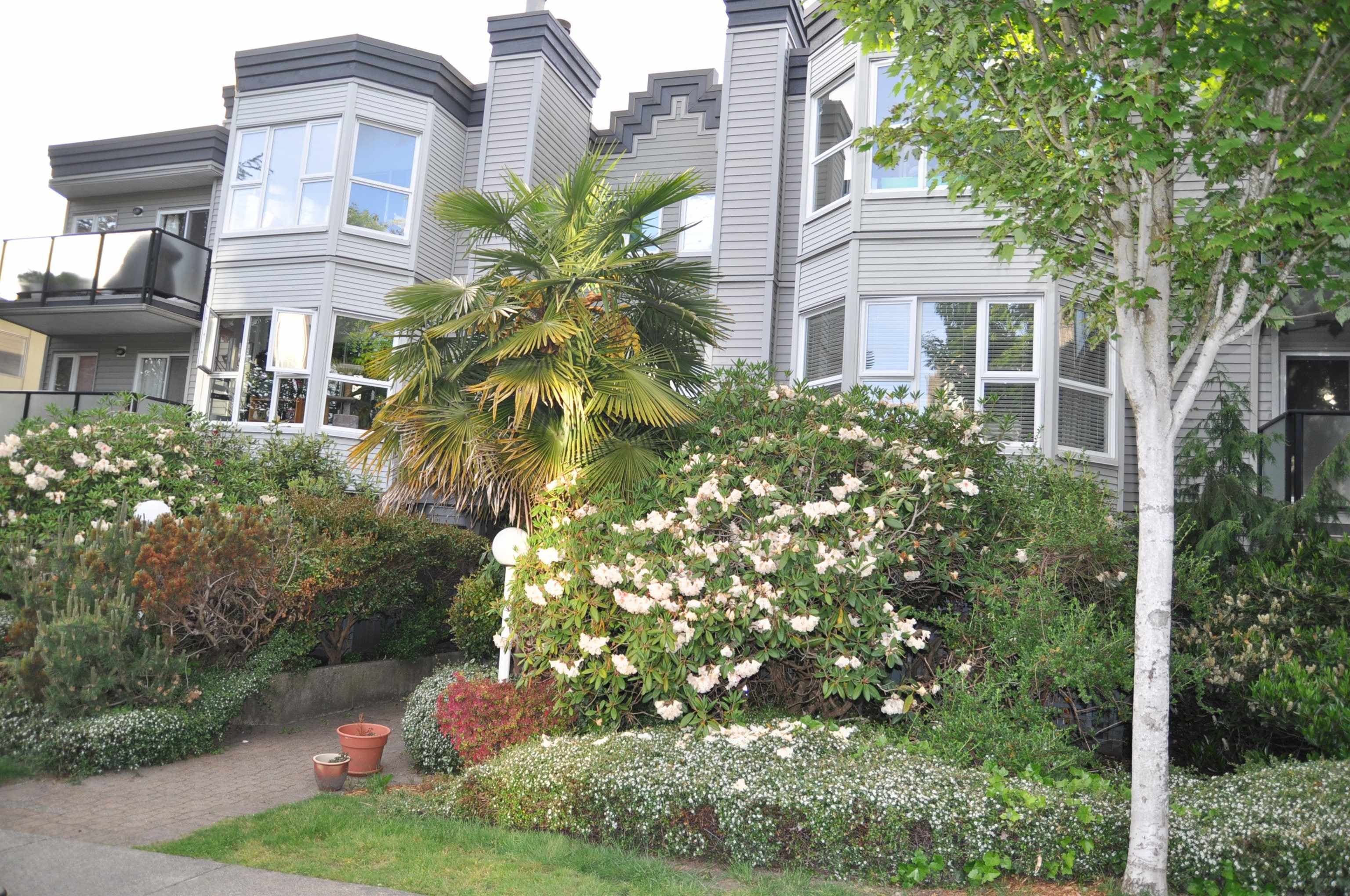 104 - 2255 Eton Street, Vancouver, V5L 1C9 — photo 3