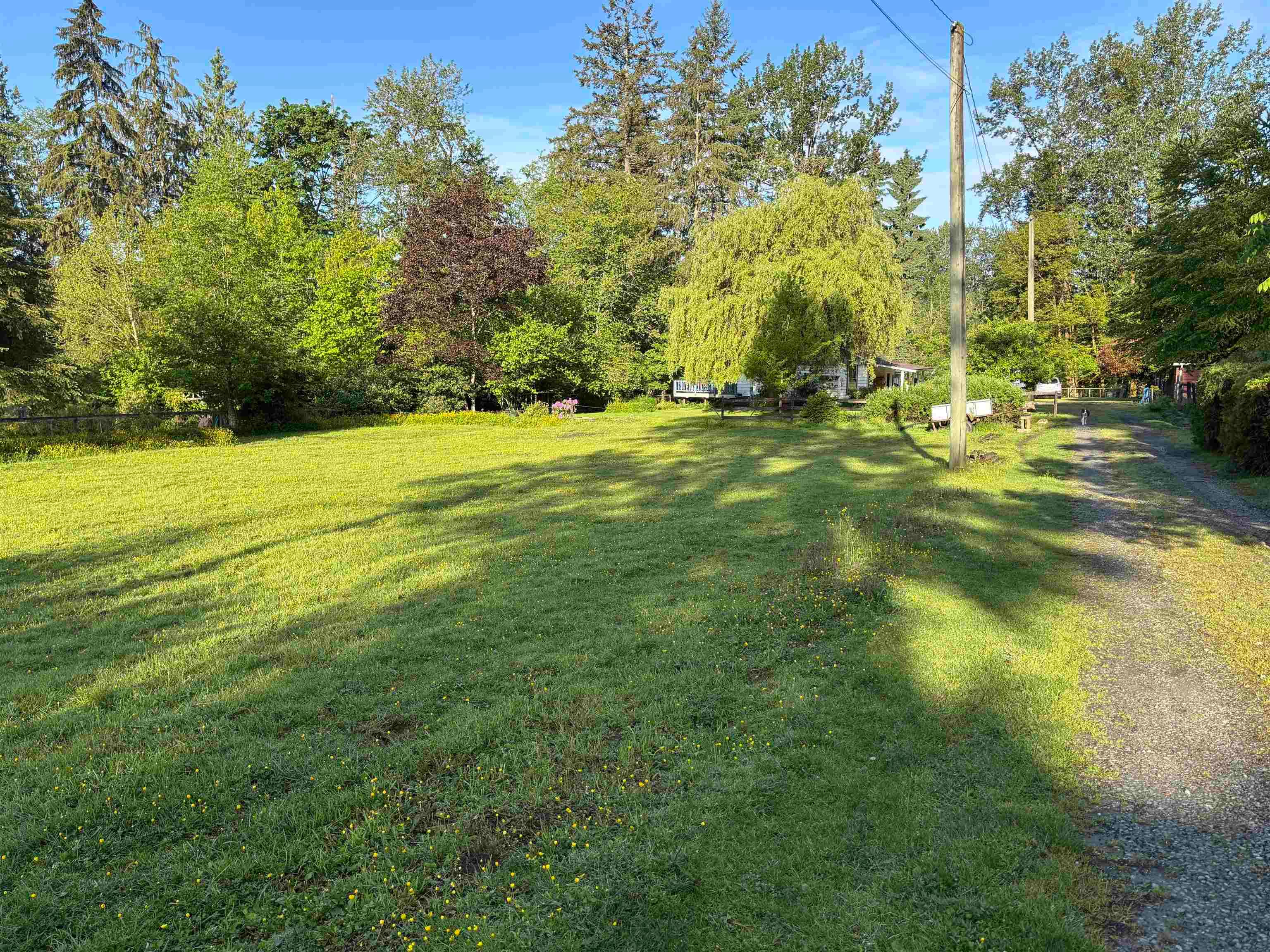 11693 246 Street, Maple Ridge, V4R 1K7 — photo 2