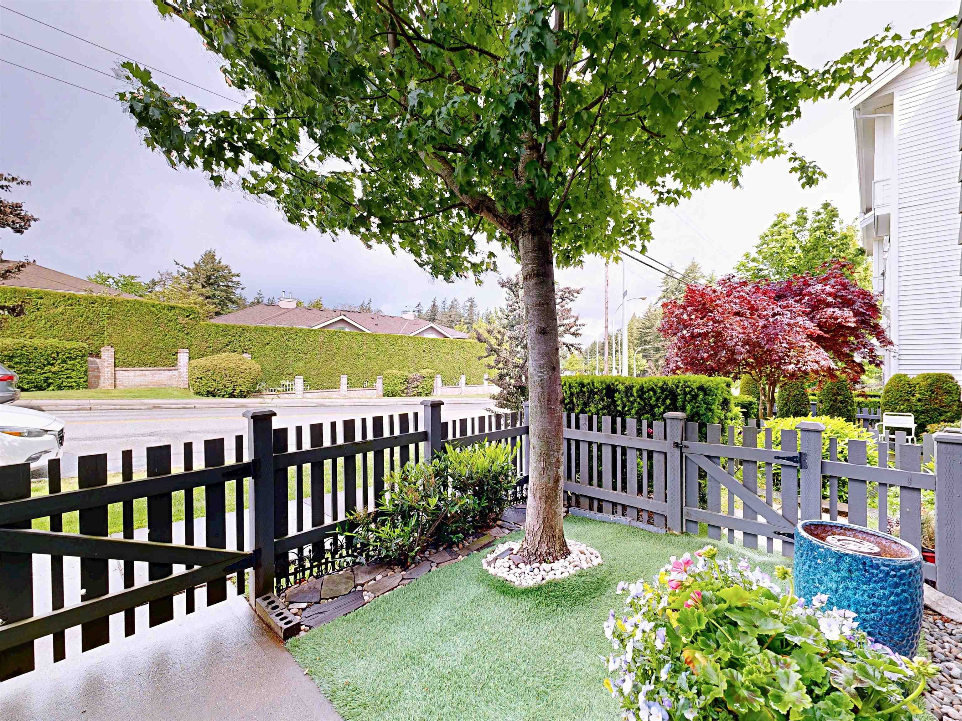 5 - 2550 156 Street, Surrey, V4P 1C8 — photo 2