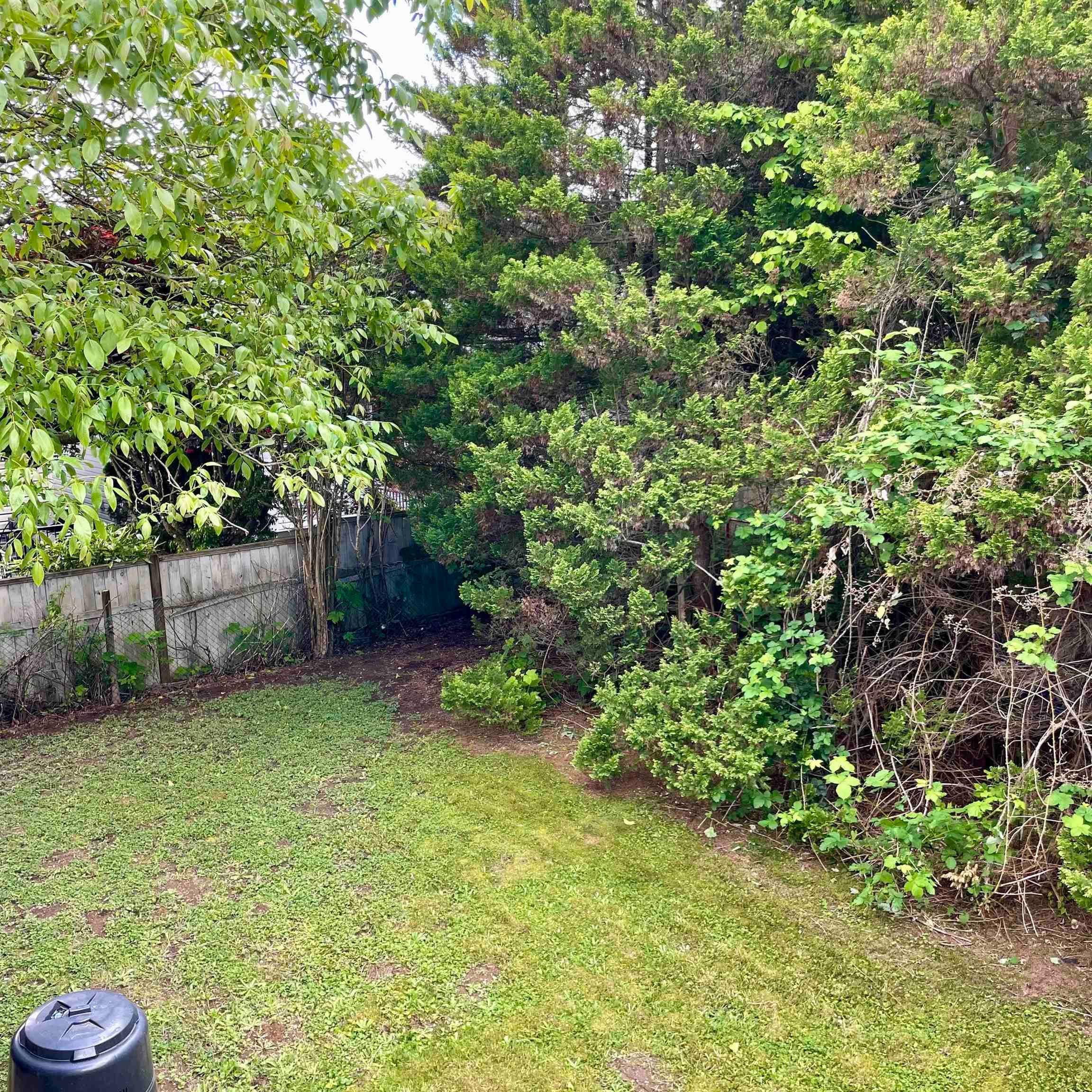 21854 Lougheed Highway, Maple Ridge, V2X 2S3 — photo 5