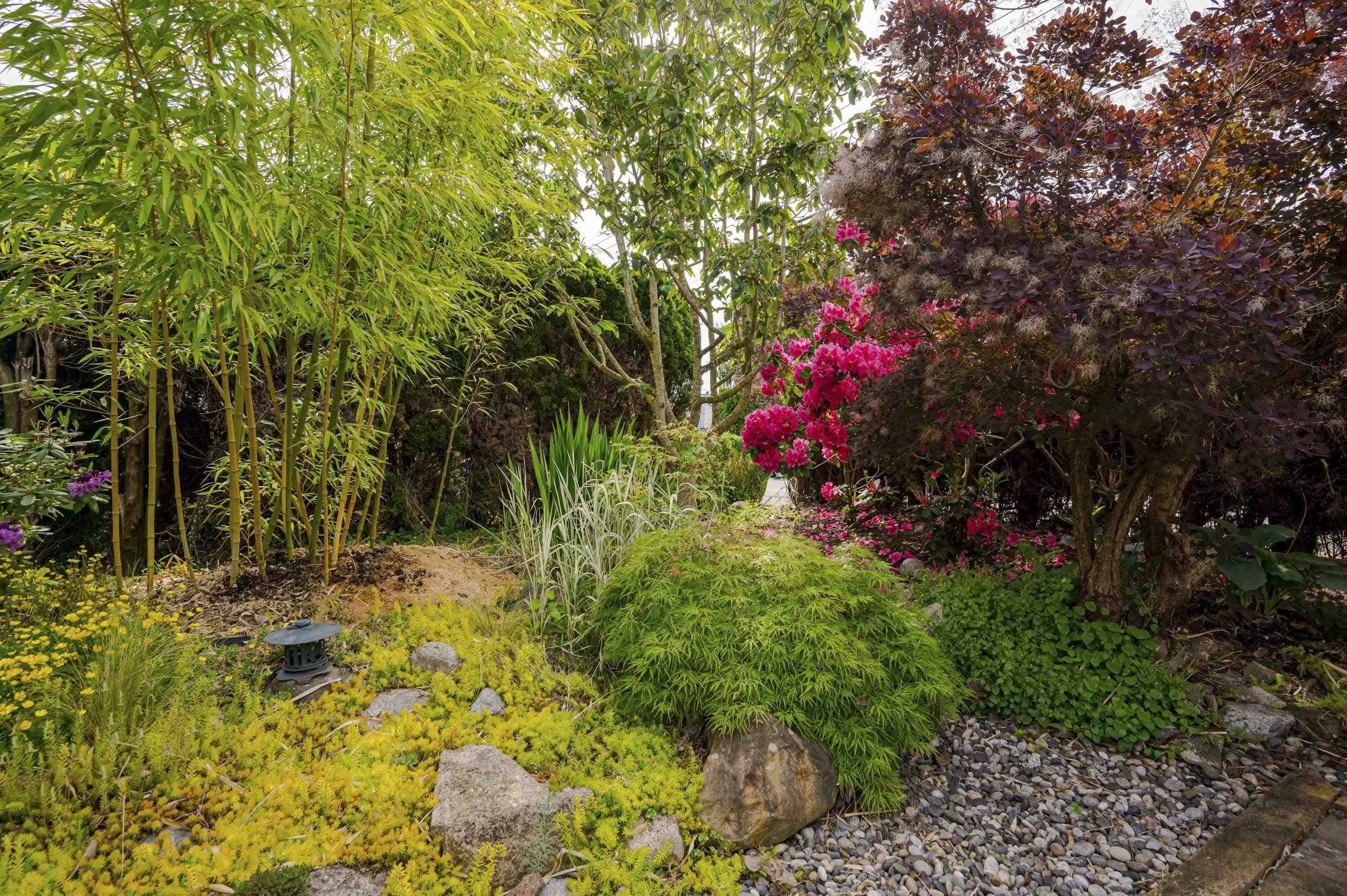 26967 28 Avenue, Langley, V4W 3A2 — photo 3