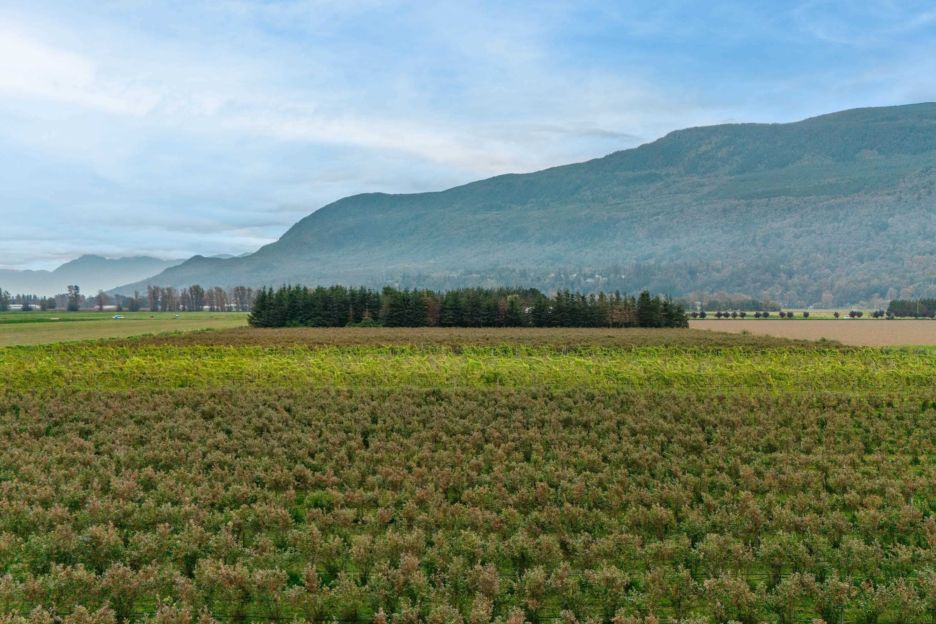 3387 Tolmie Road, Abbotsford