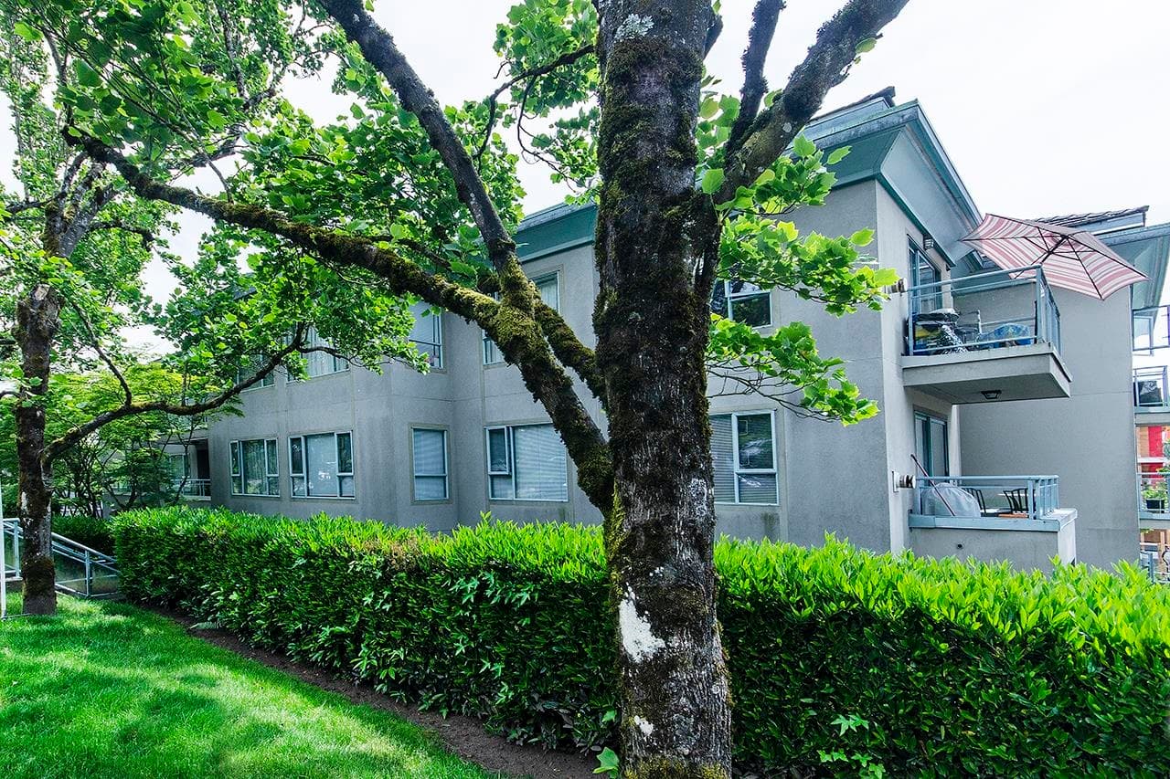 206 - 1085 W 17th Street, North Vancouver, V7P 3R3 — photo 3