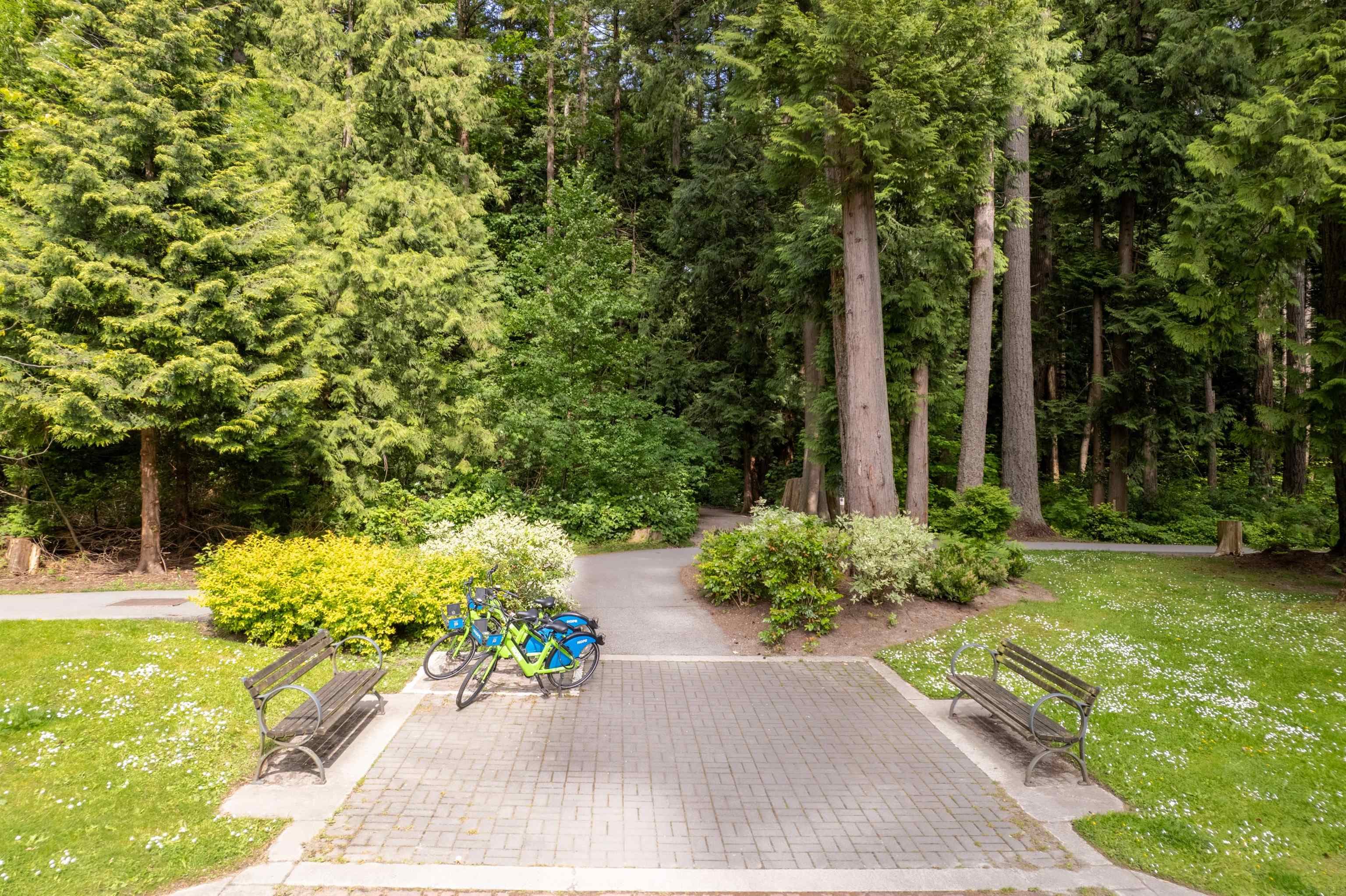 101 - 3487 Binning Road, Vancouver, V6S 0K8 — photo 5