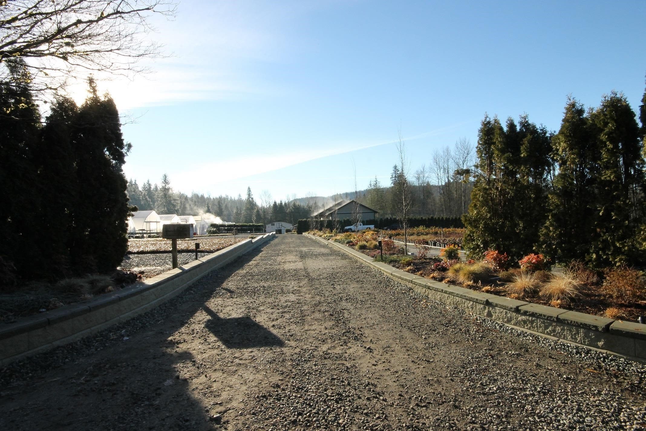 26362 Dewdney Trunk Road, Maple Ridge, V2W 1A1 — photo 3