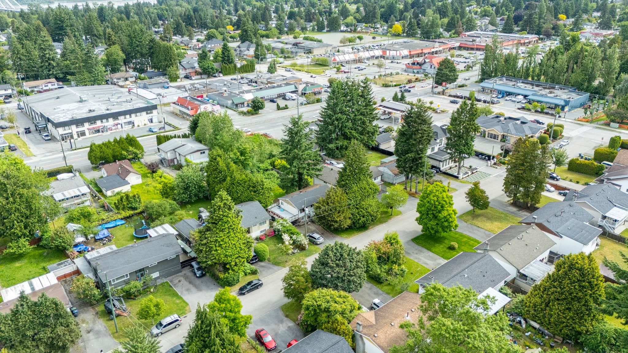 14735 107a Avenue, Surrey, V3R 1V2 — photo 5