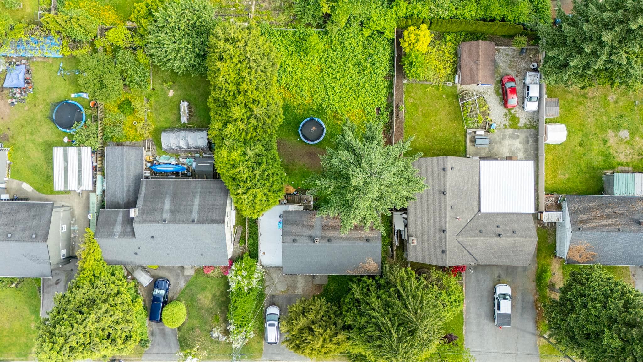 14735 107a Avenue, Surrey, V3R 1V2 — photo 4