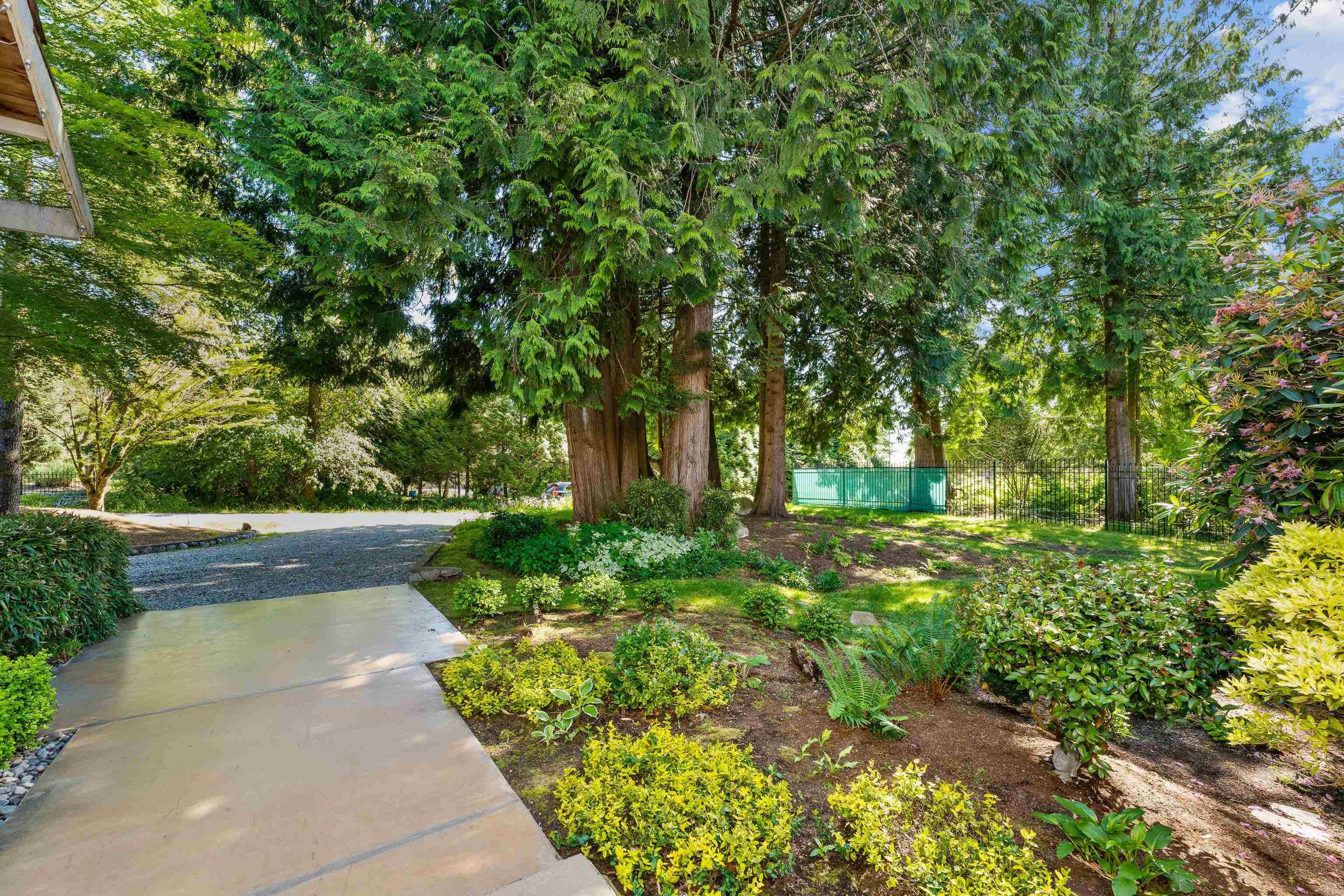 24325 126 Avenue, Maple Ridge, V4R 1M2 — photo 2