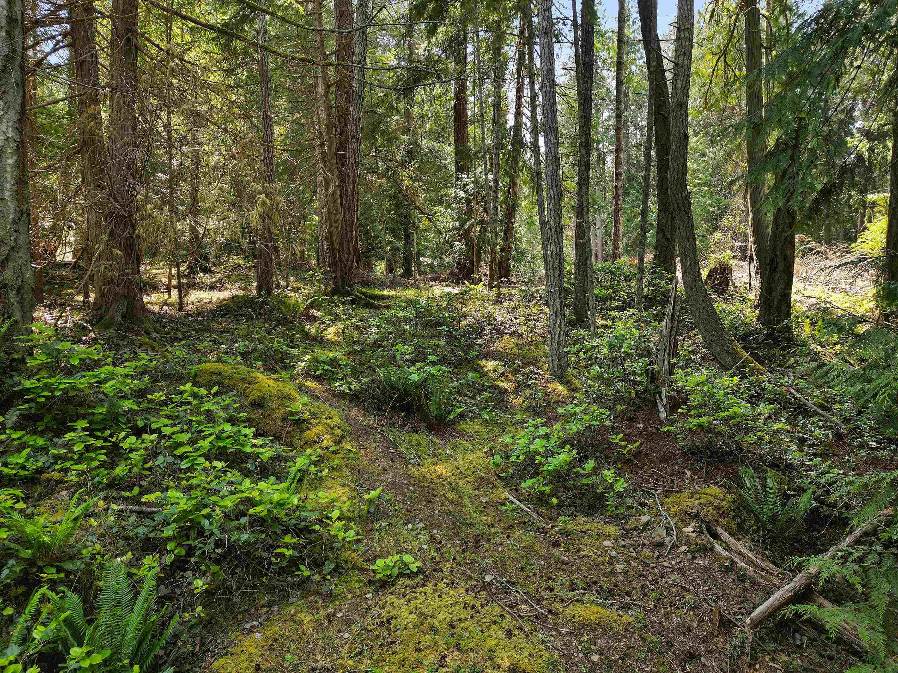 568 Aya Reach Road, Mayne Island, V0N 2J1 — photo 2