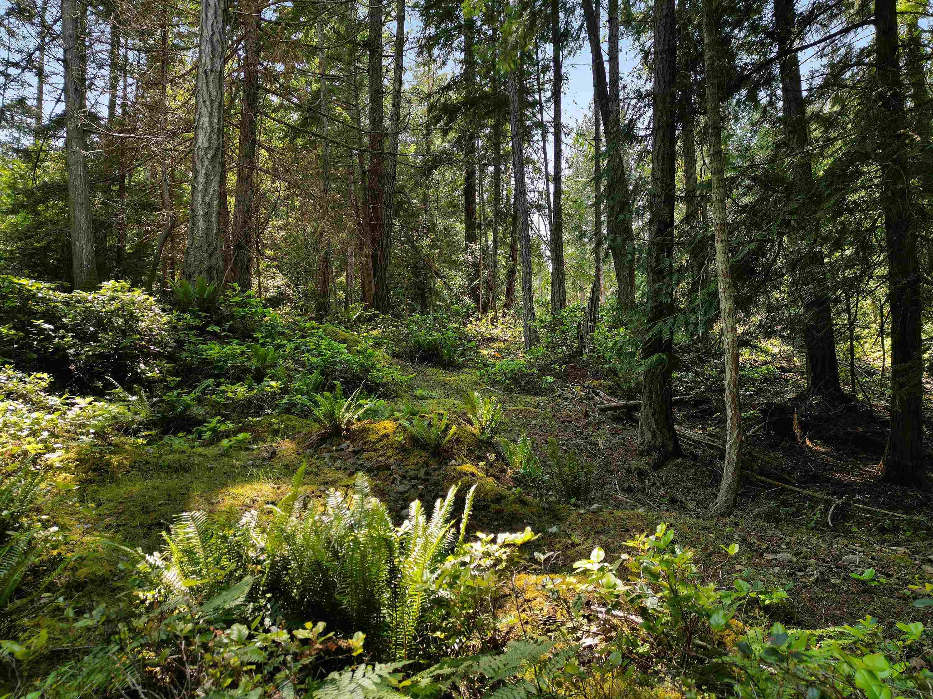 568 Aya Reach Road, Mayne Island, V0N 2J1 — photo 3