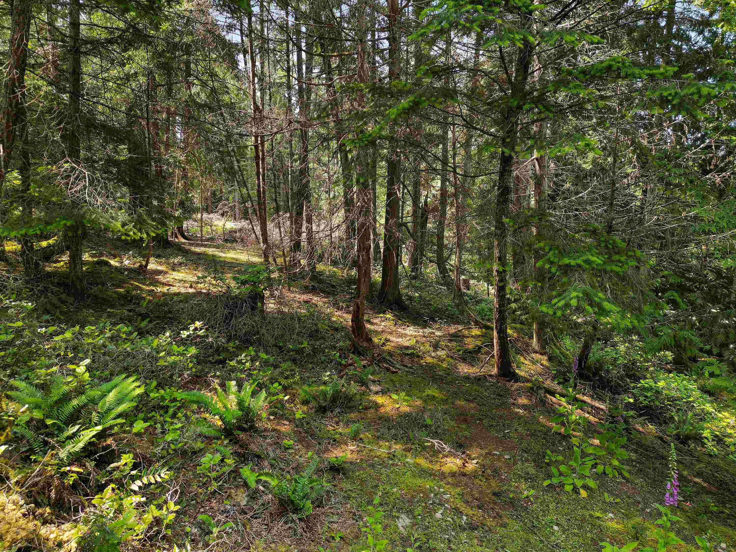 568 Aya Reach Road, Mayne Island