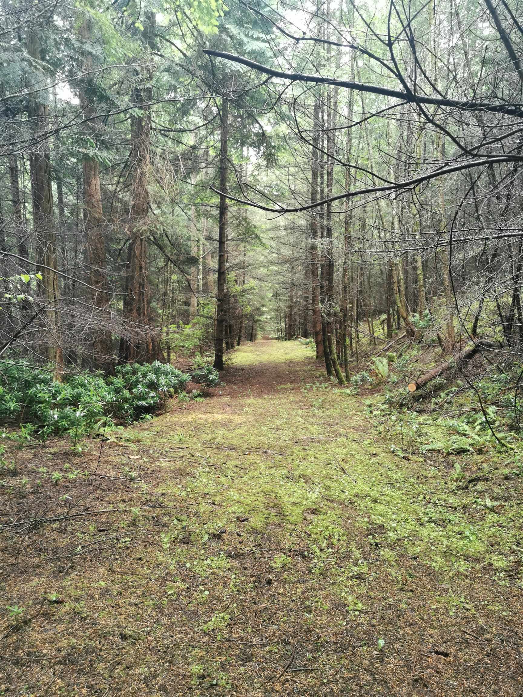 706 Fernhill Road, Mayne Island