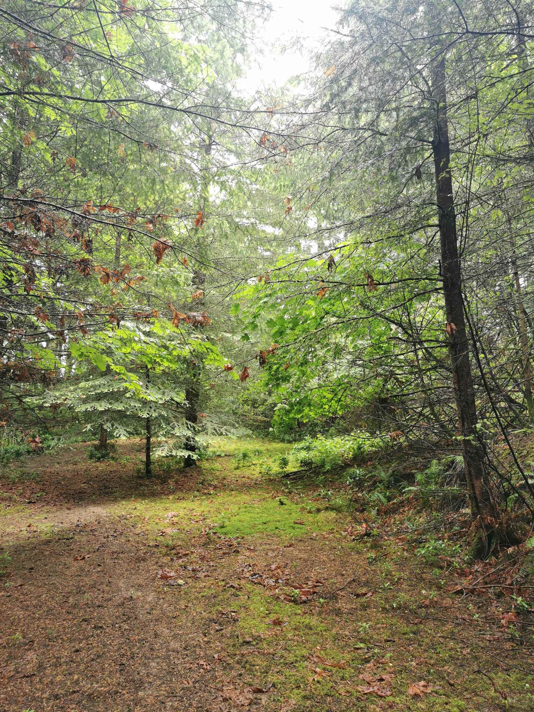 706 Fernhill Road, Mayne Island, V0N 2J1 — photo 5