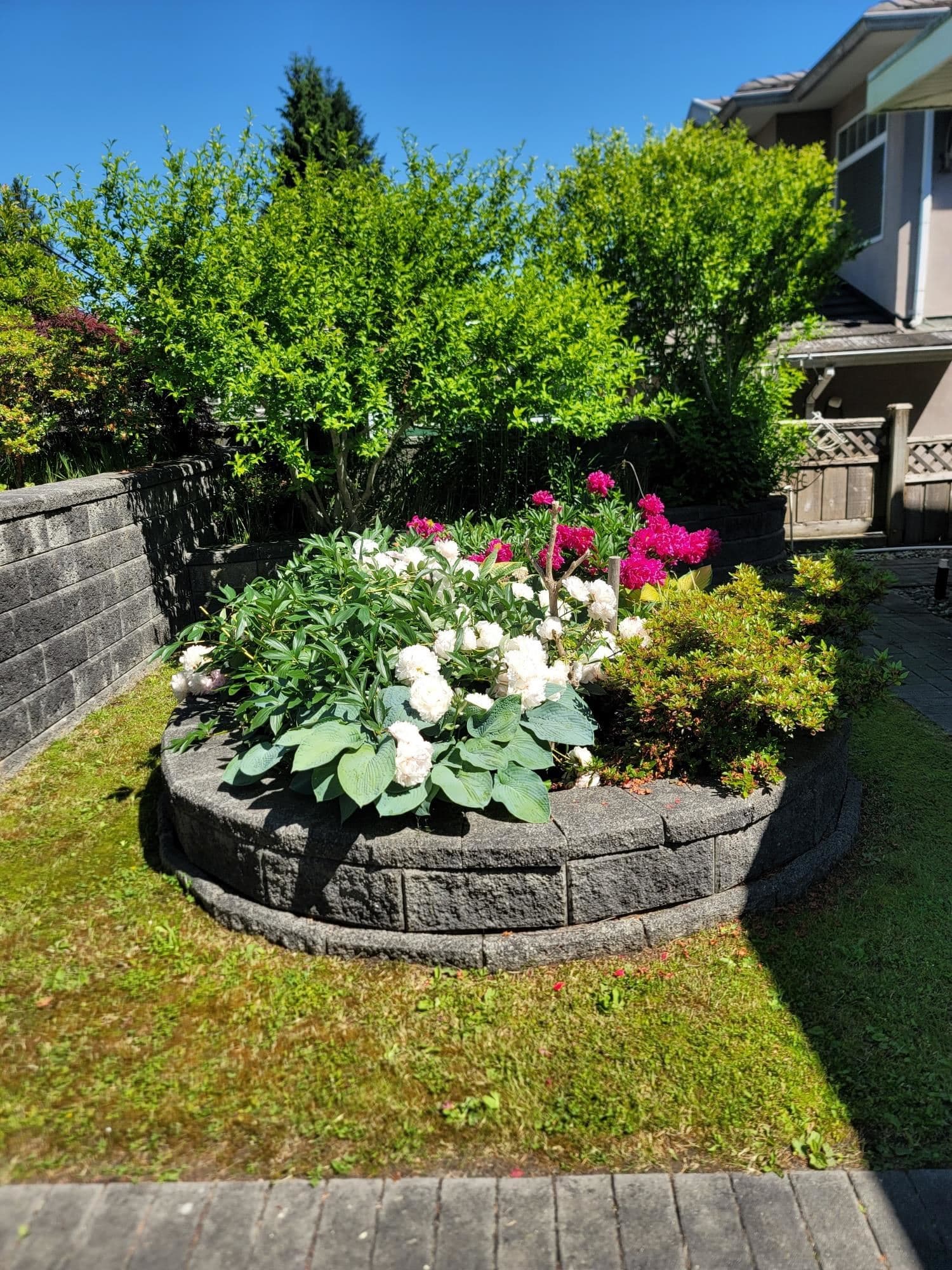 3330 Douglas Road, Burnaby, V5G 3N9 — photo 3