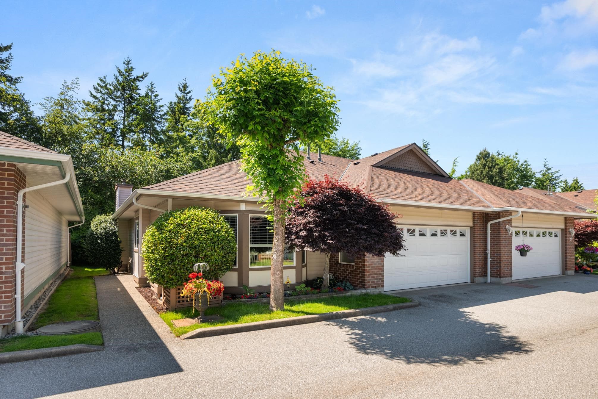 8 - 18939 65 Avenue, Surrey, V3S 2Y8 — photo 2