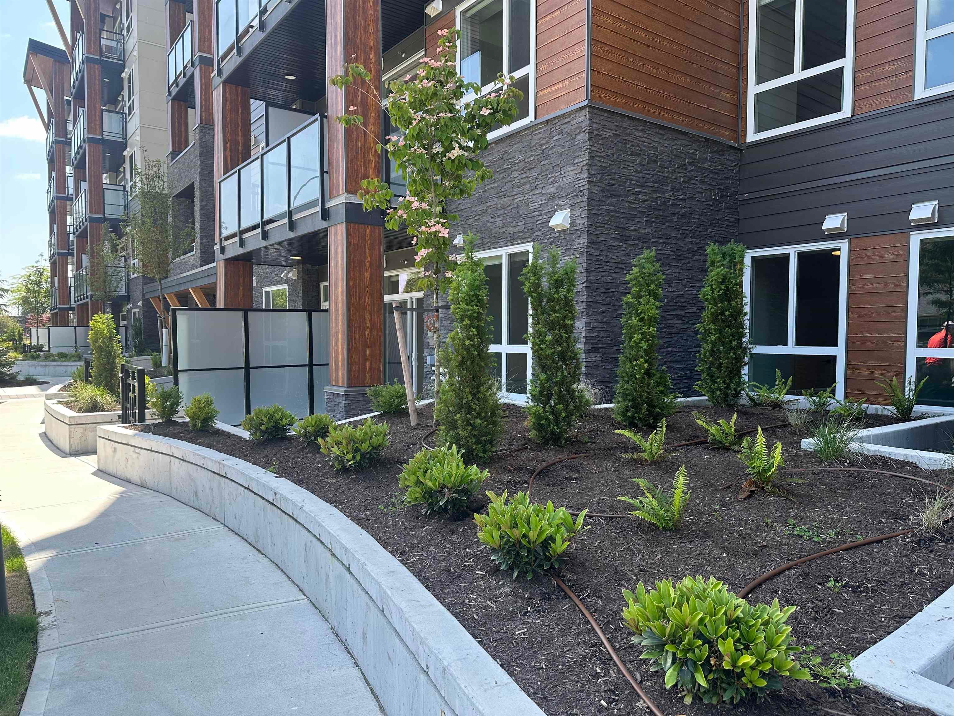 104 - 12109 223 Street, Maple Ridge, V2X 3I2 — photo 2