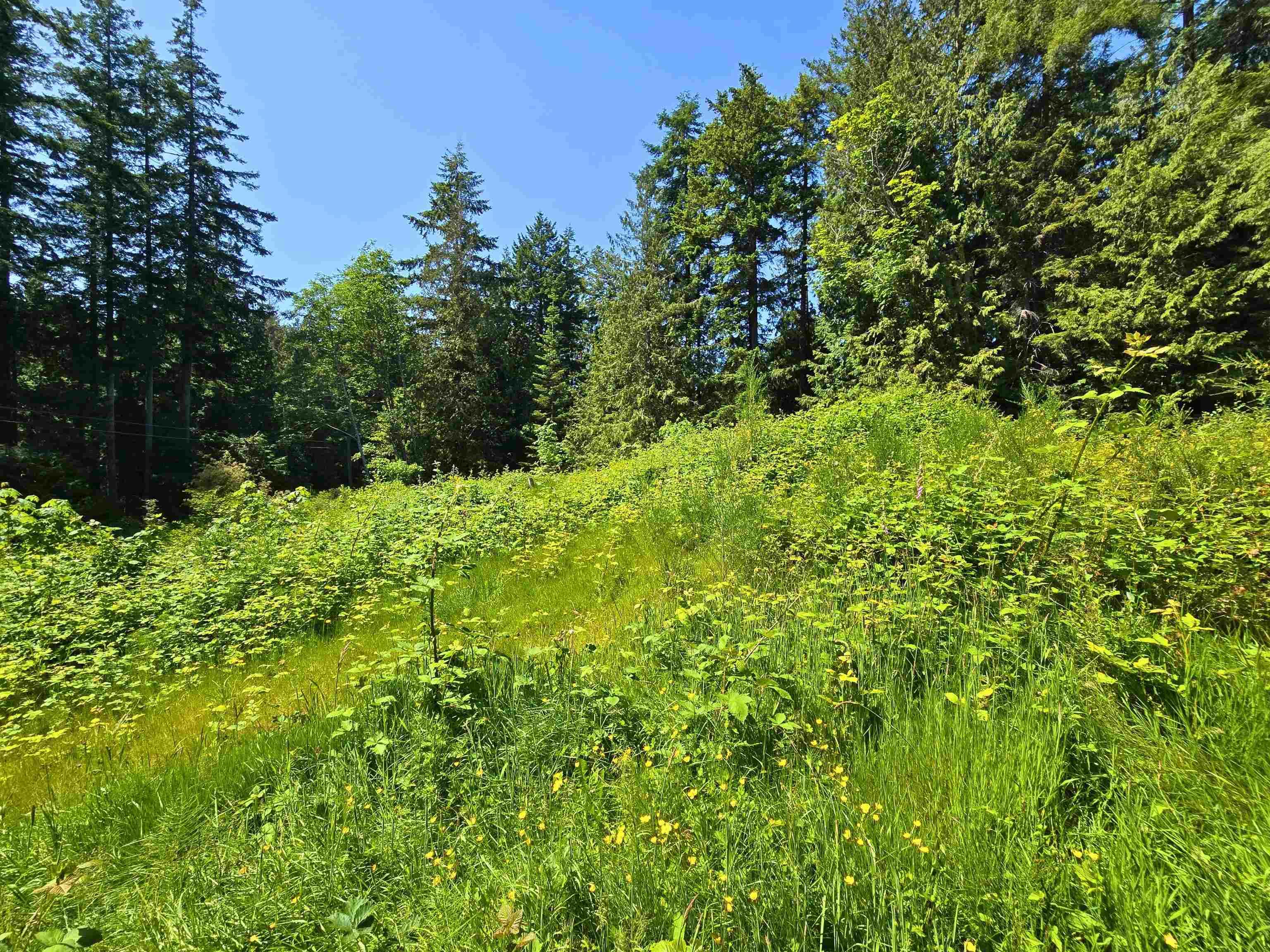 LOT 5 Lower Road, Roberts Creek, V0N 2W4 — photo 4
