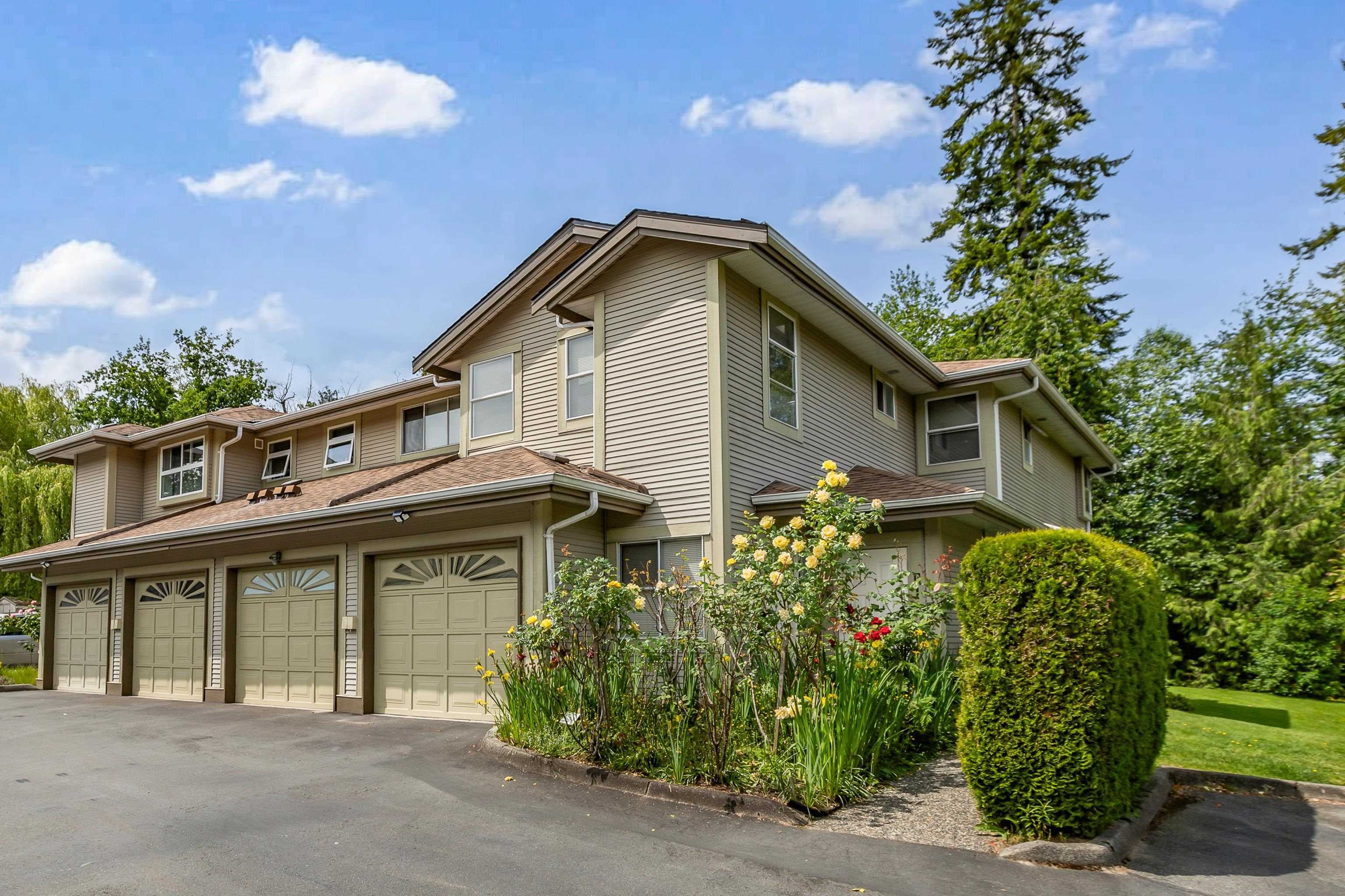 13 - 12071 232b Street, Maple Ridge, V2X 0Z7 — photo 3