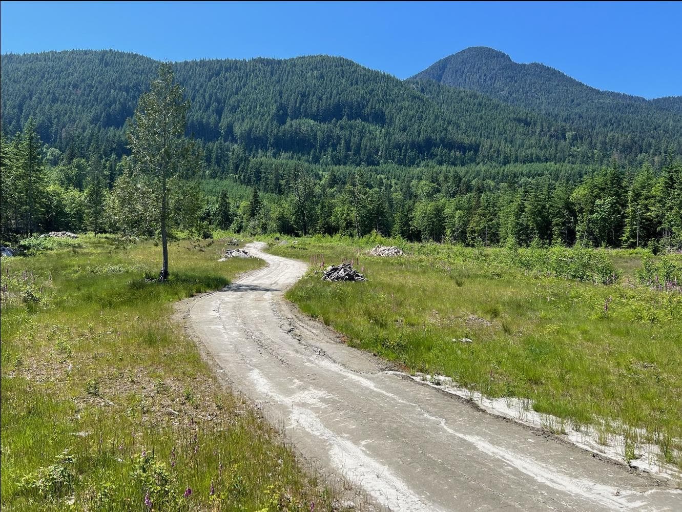 Lot D Elphinstone Crossing, Gibsons, V0N 1V9 — photo 2