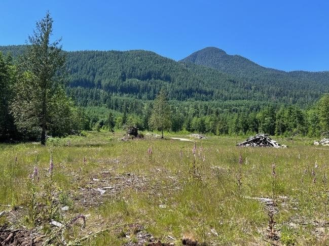 Lot D Elphinstone Crossing, Gibsons, V0N 1V9 — photo 3