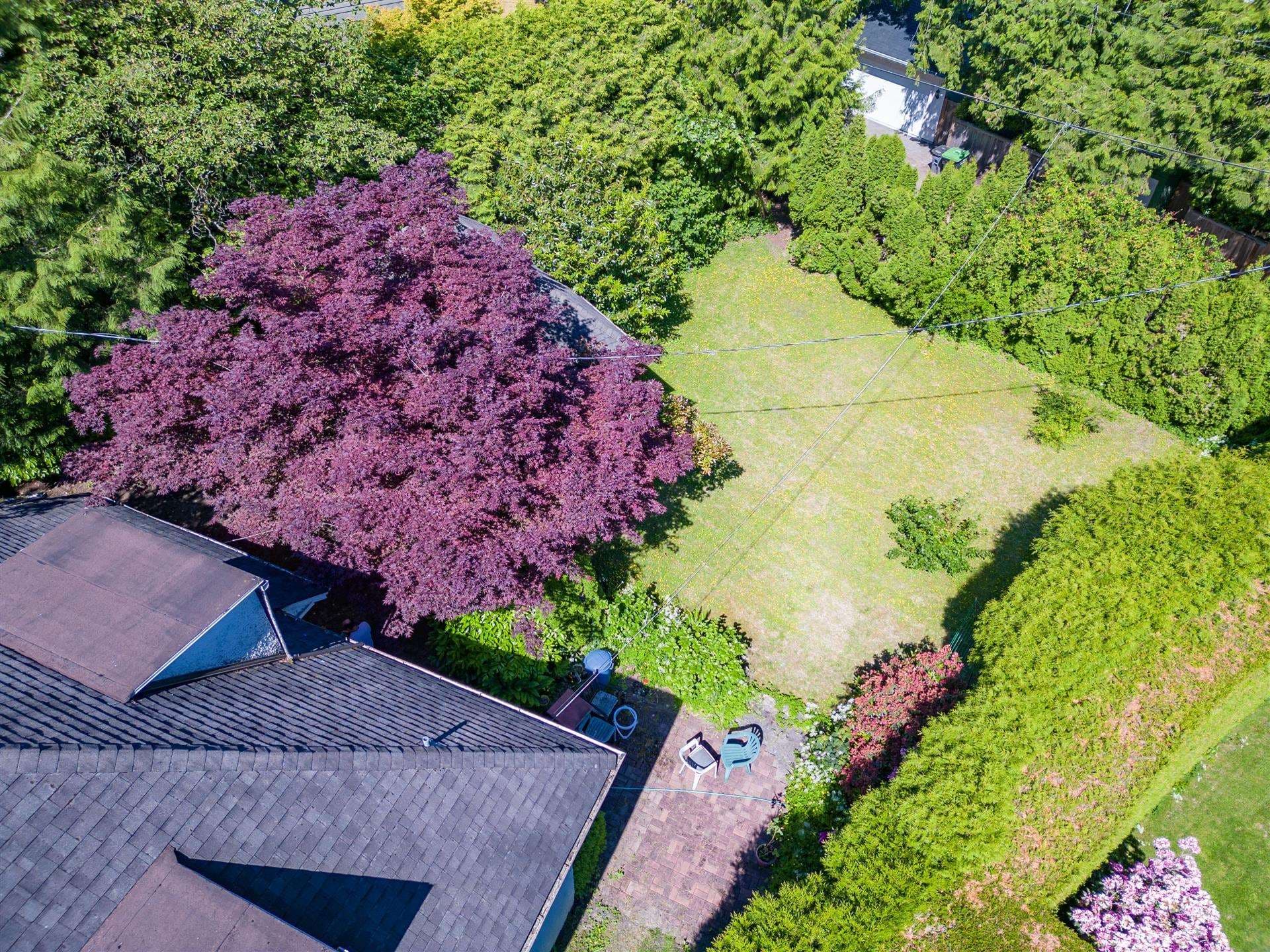 5549 Churchill Street, Vancouver, V6M 3G8 — photo 5