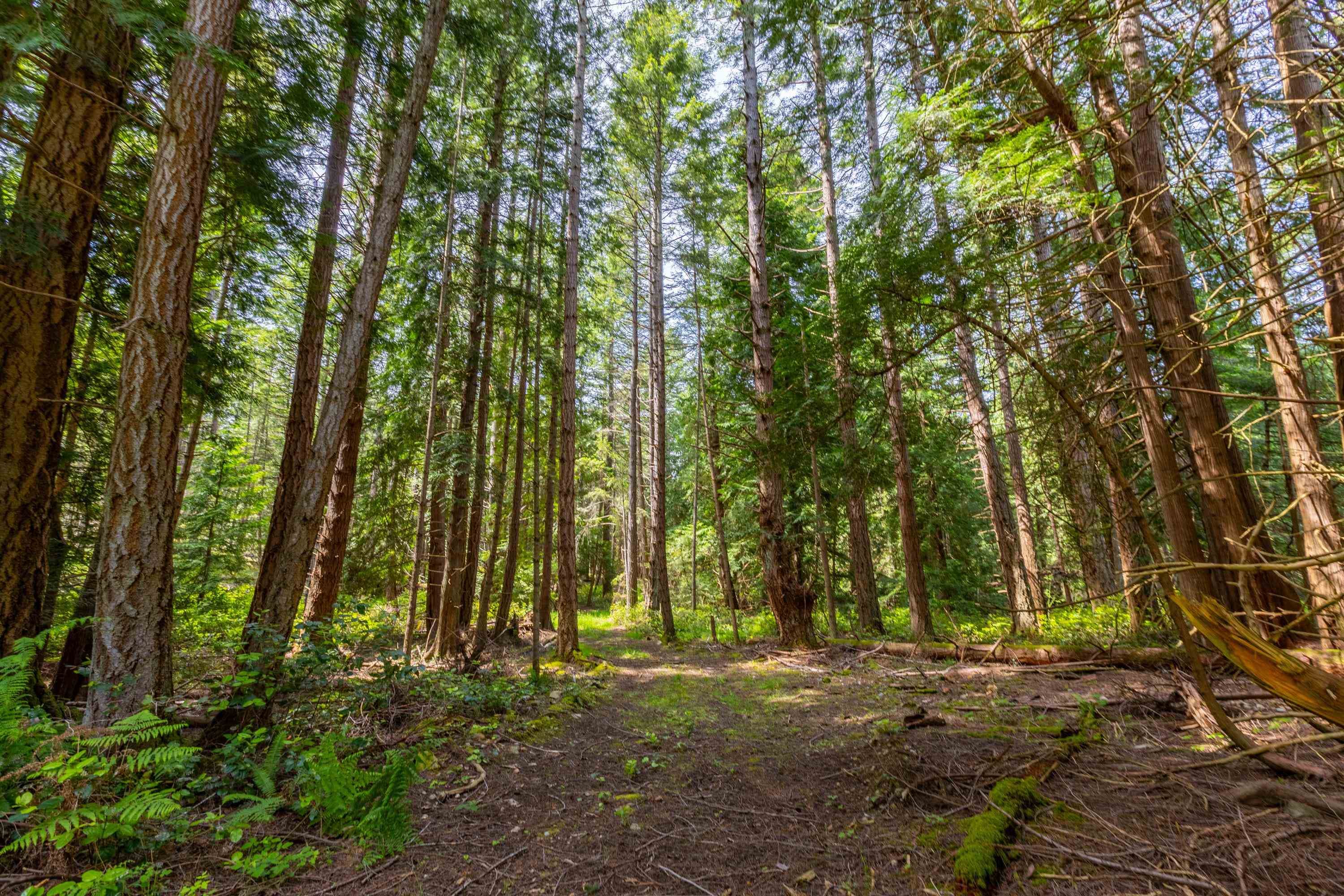 286 Orca View Lane, Galiano Island, V0N 1P0 — photo 3