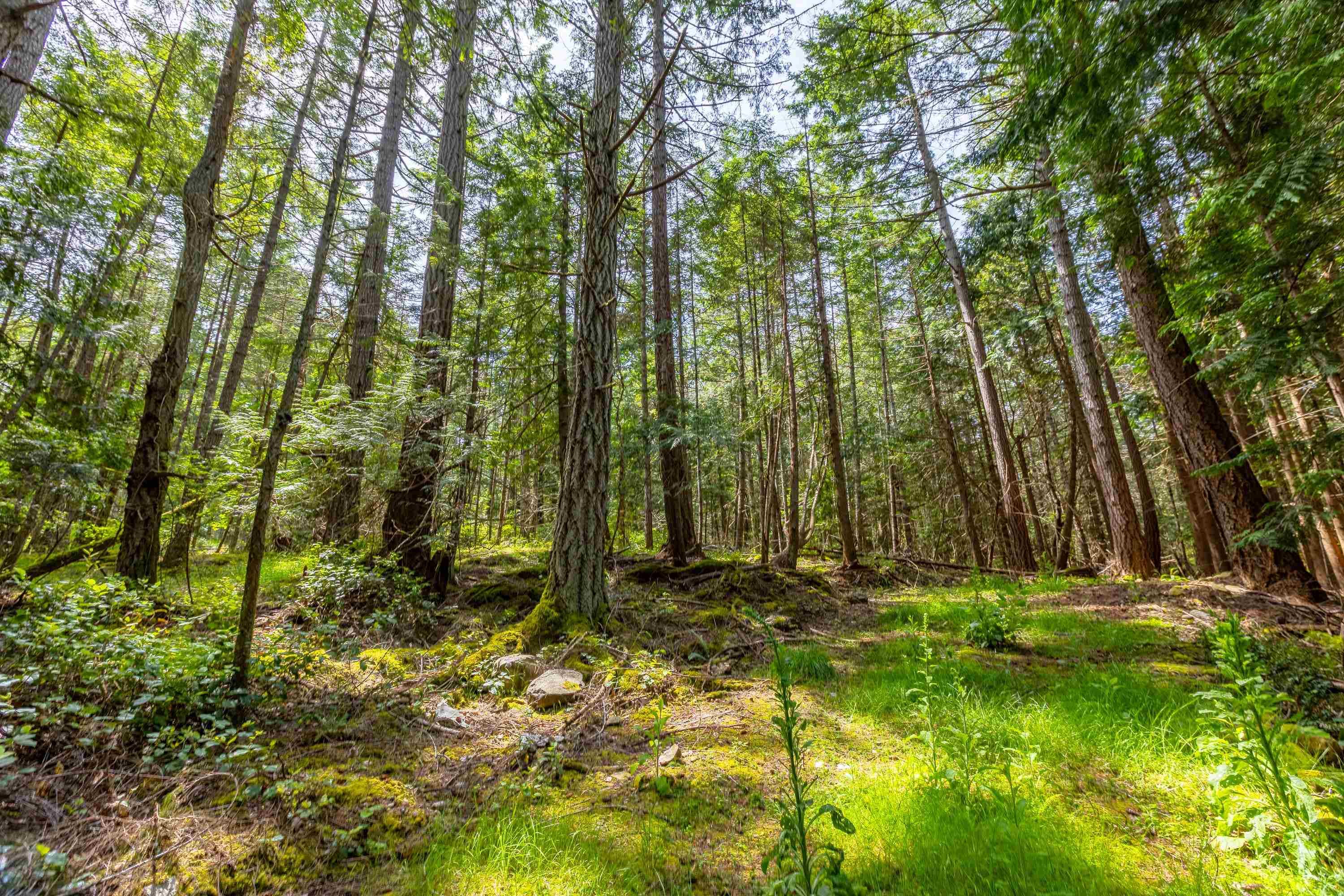 286 Orca View Lane, Galiano Island, V0N 1P0 — photo 5