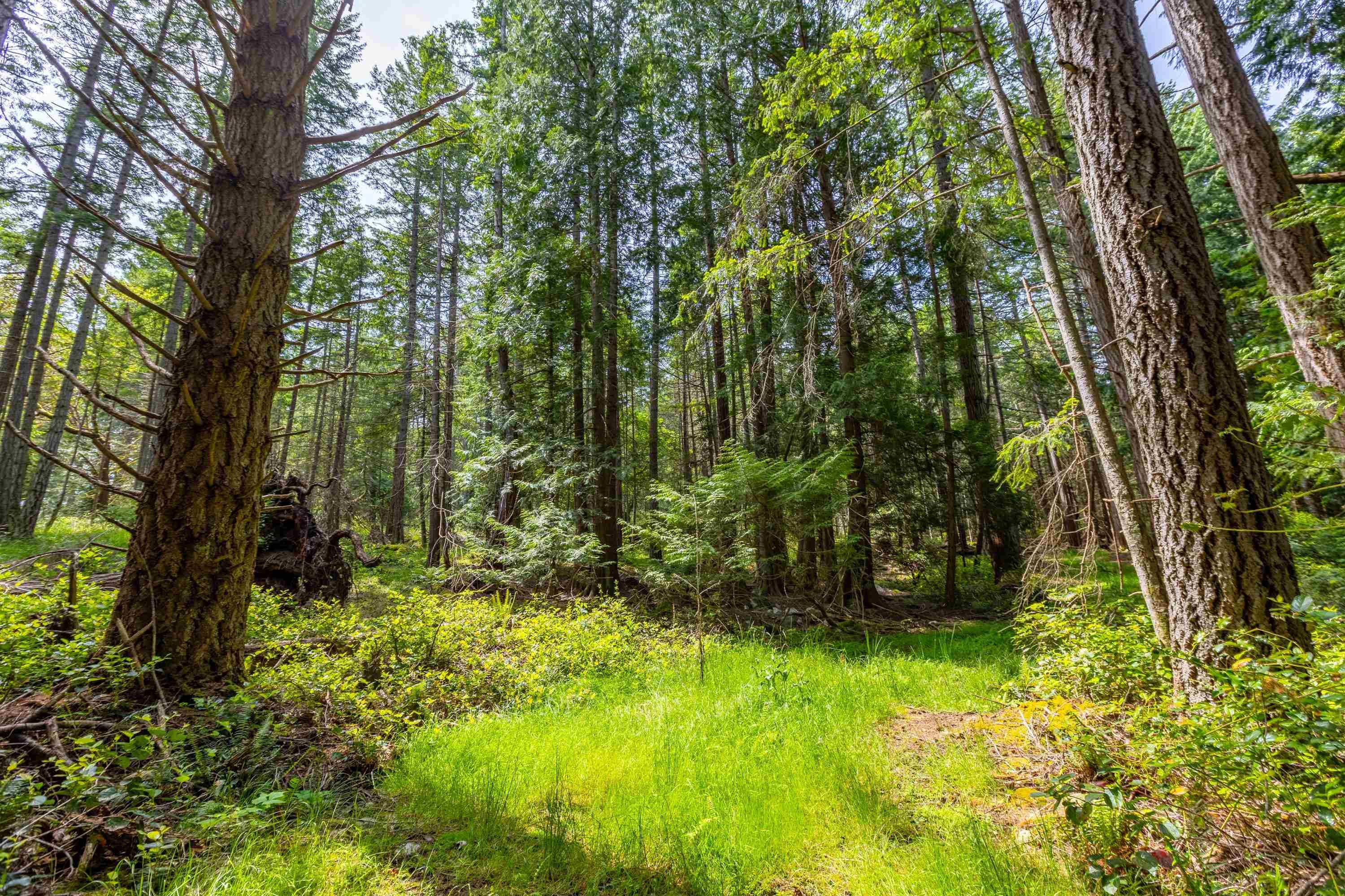 286 Orca View Lane, Galiano Island, V0N 1P0 — photo 4