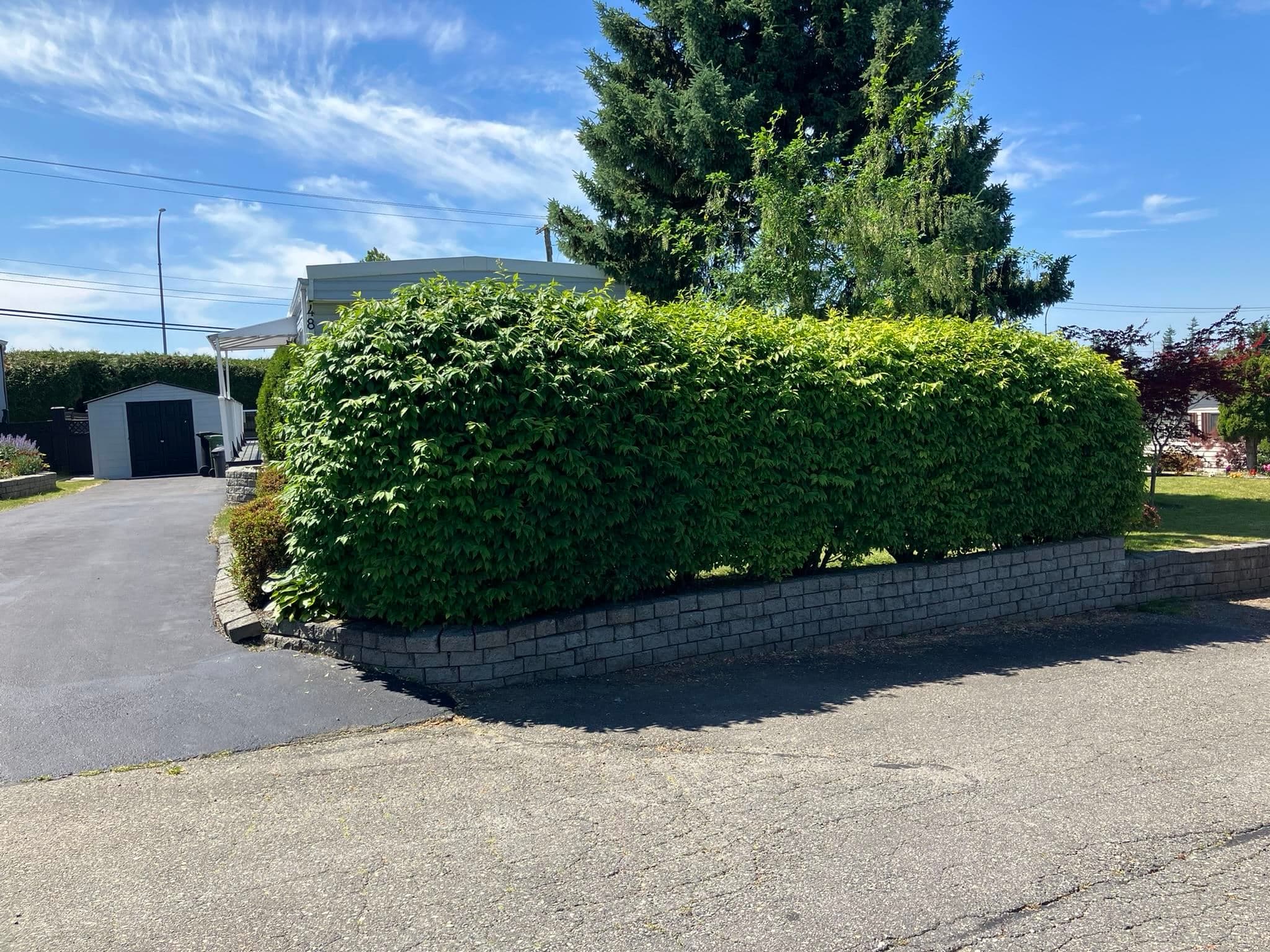 48 - 2035 Martens Street, Abbotsford, V2T 6M4 — photo 2