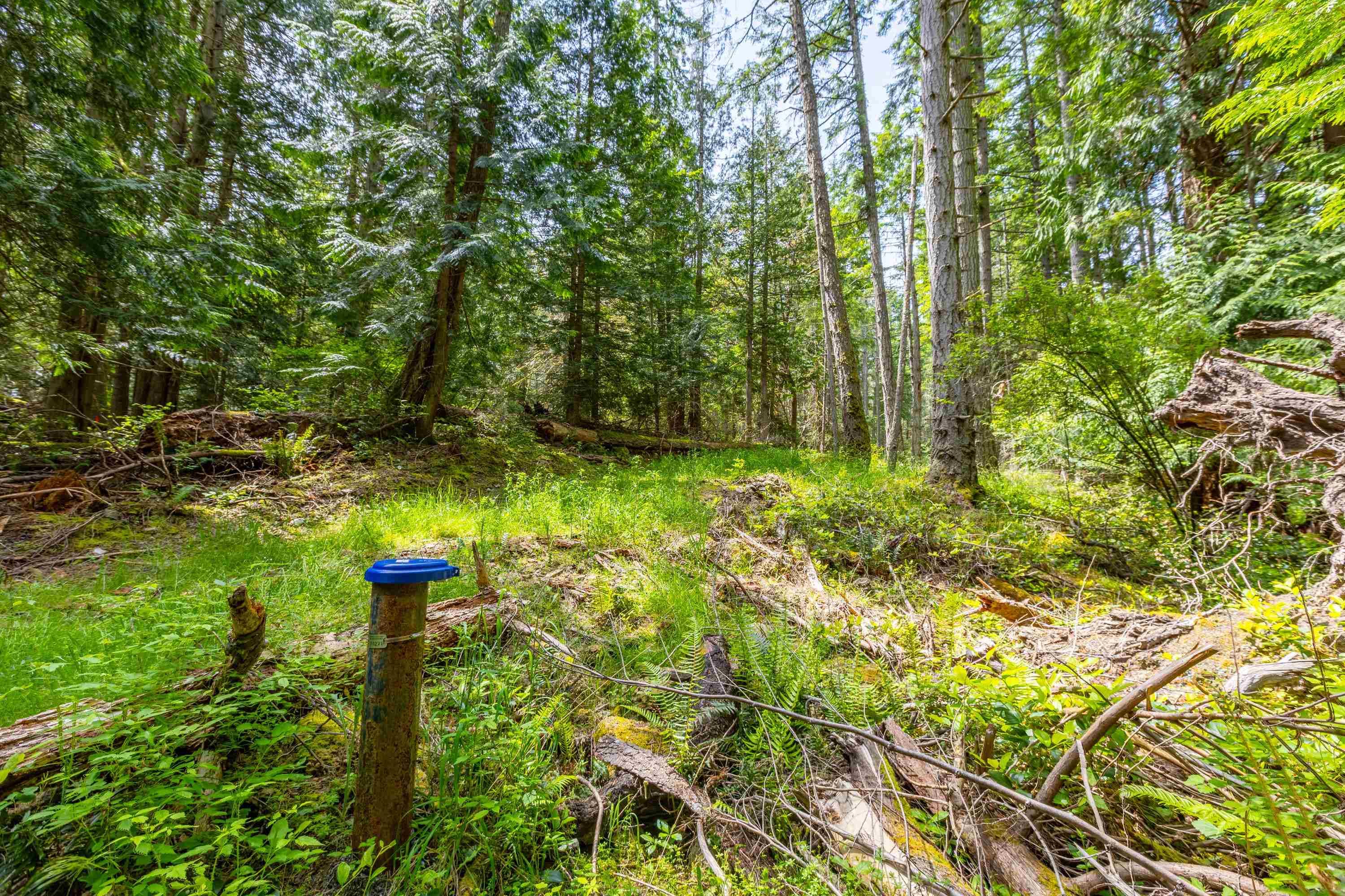 320 Orca View Lane, Galiano Island, V0N 1P0 — photo 3