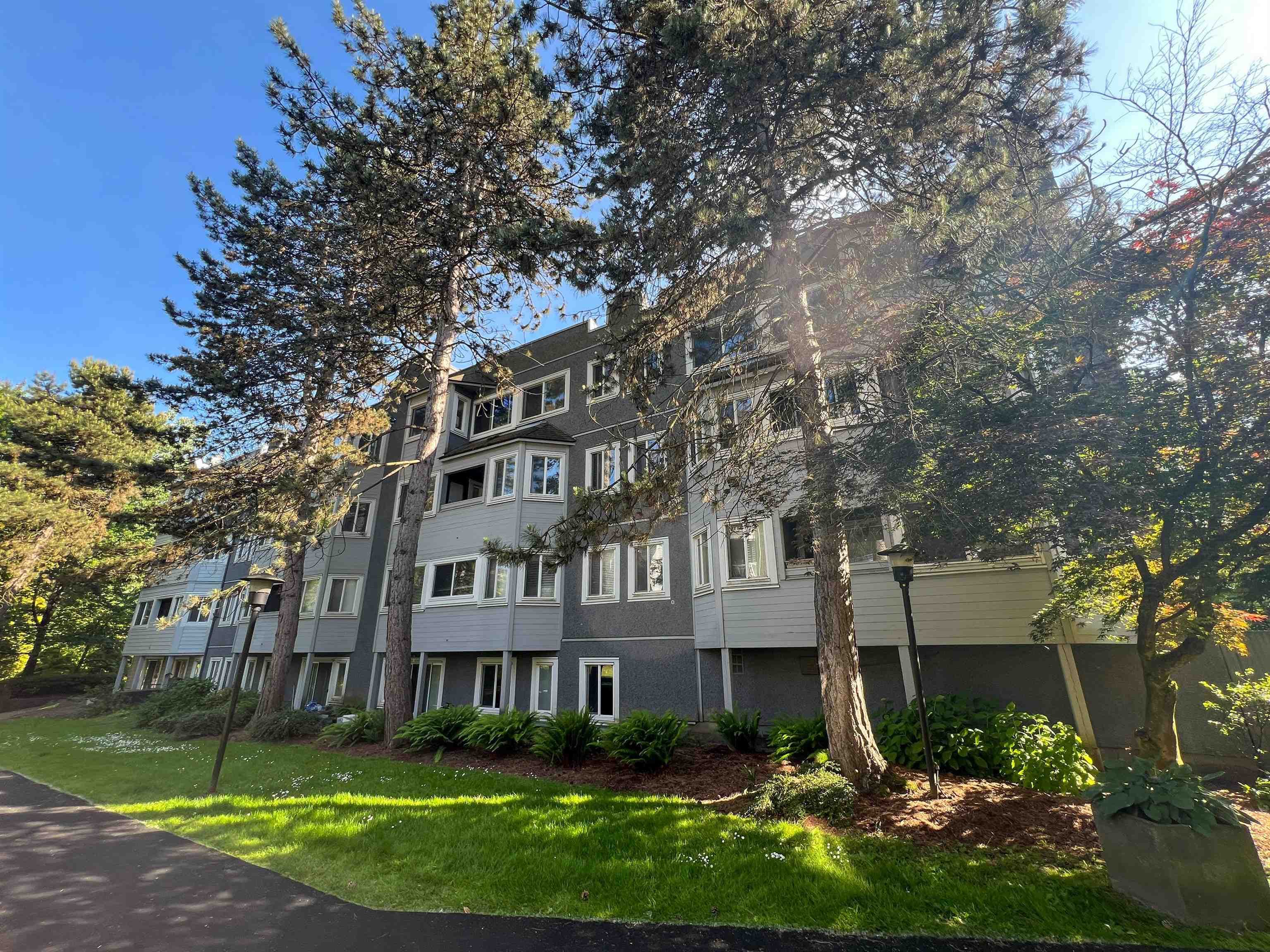 508 - 9890 Manchester Drive, Burnaby, V3N 4R4 — photo 2