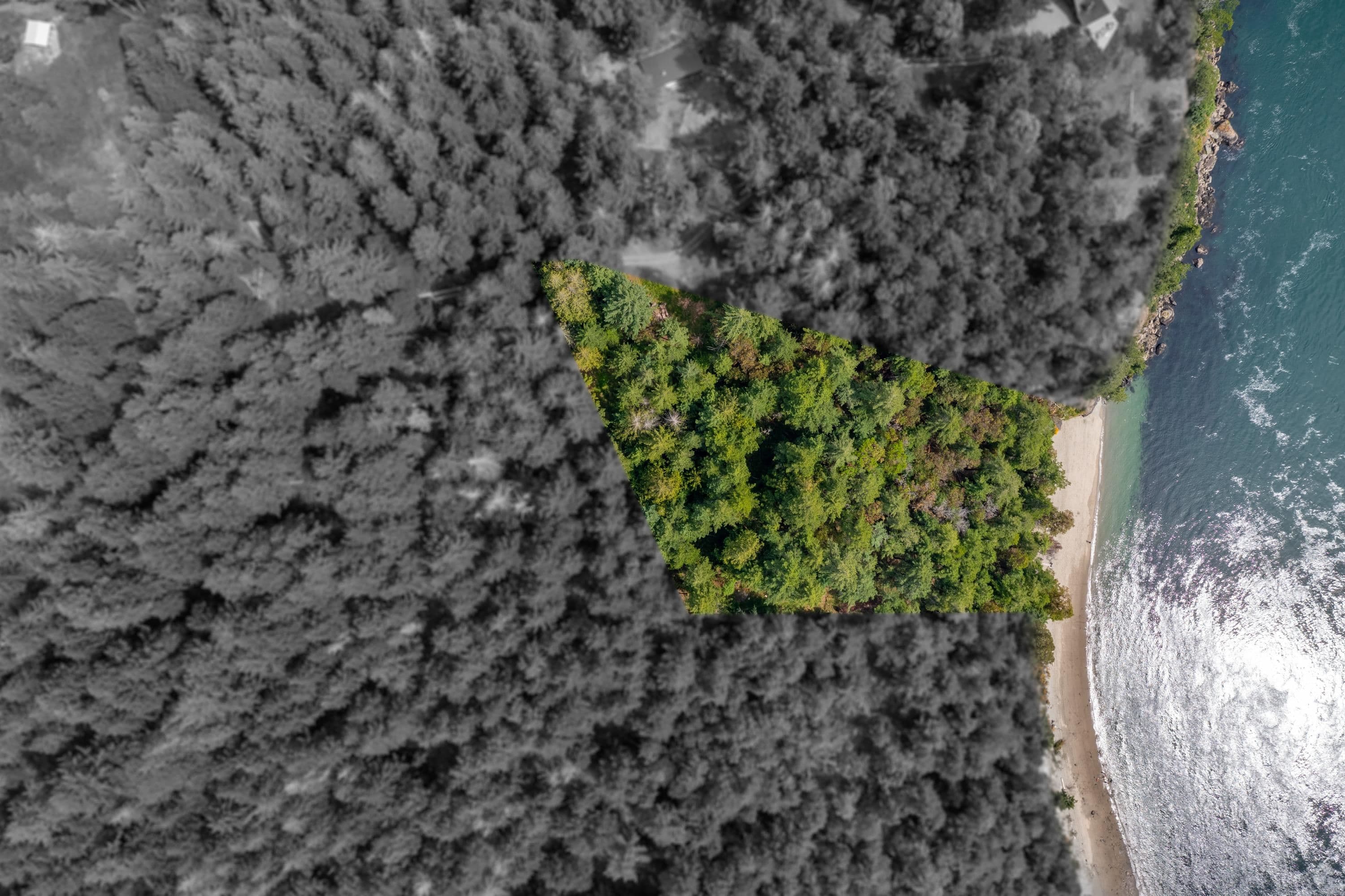 354 Orca View Lane, Galiano Island, V0N 1P0 — photo 2